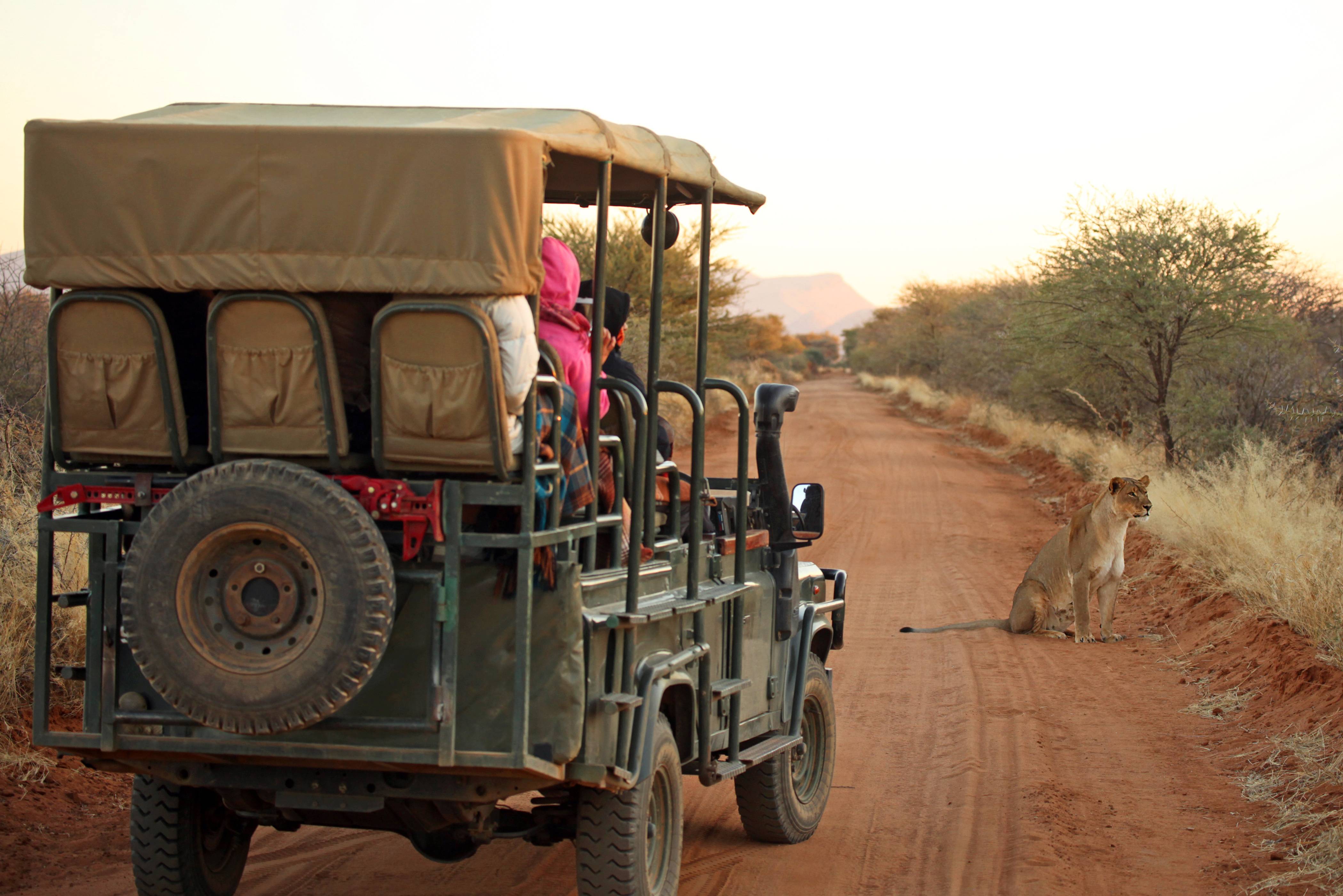 Etosha in Namibië