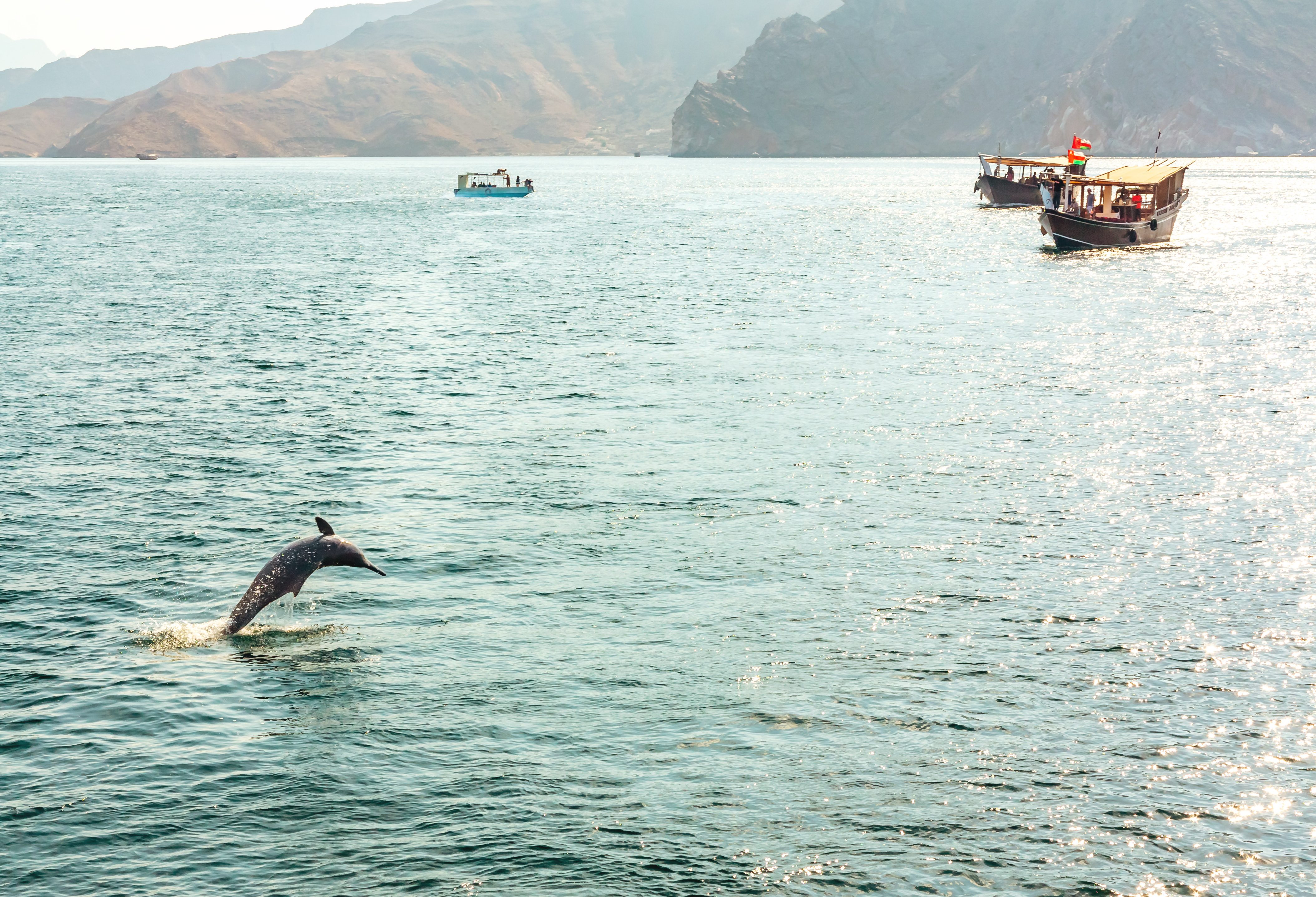 Boottocht op een dhow vanuit Khasab in Musandam in Oman