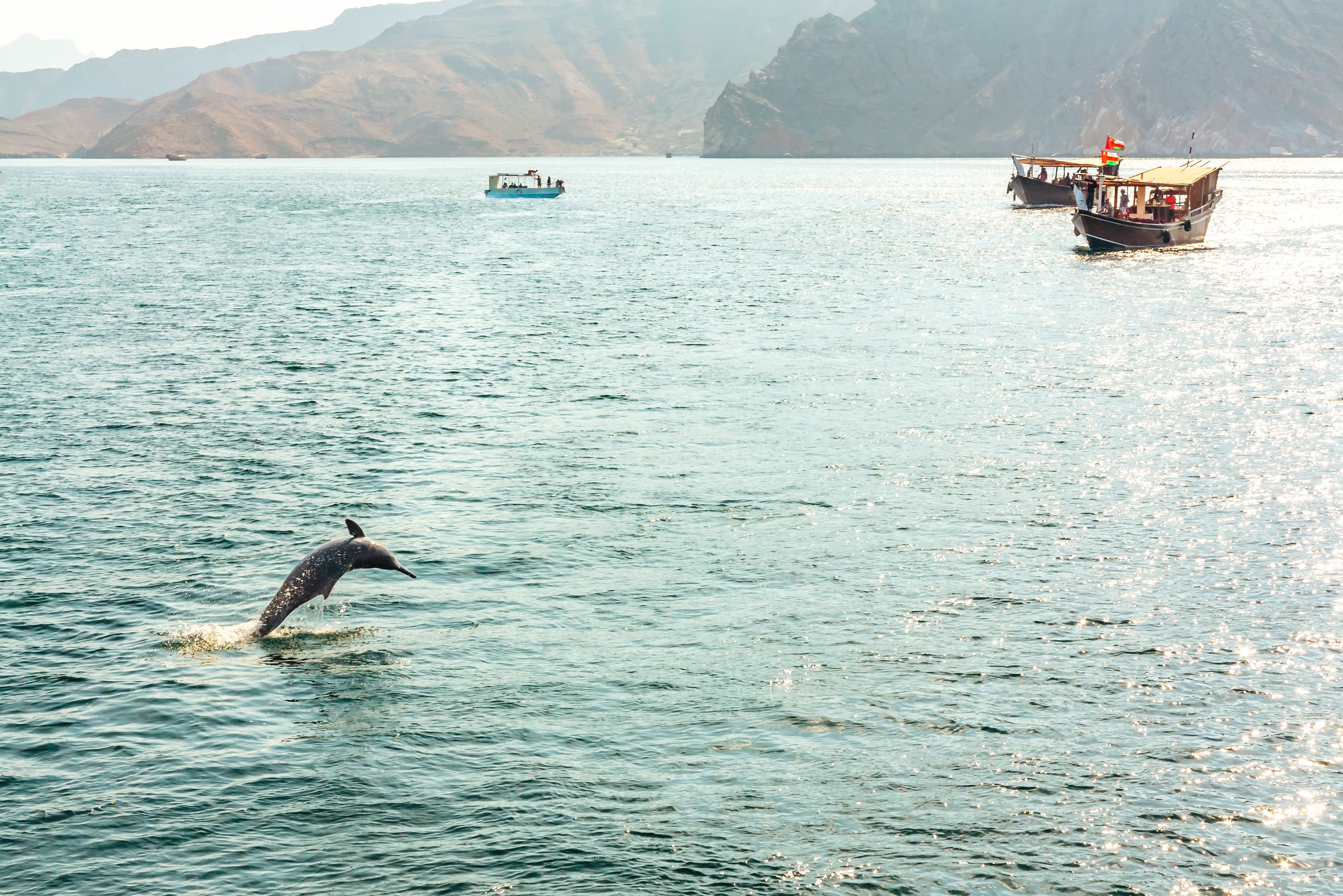 Boottocht op een dhow nabij Musandam in Oman