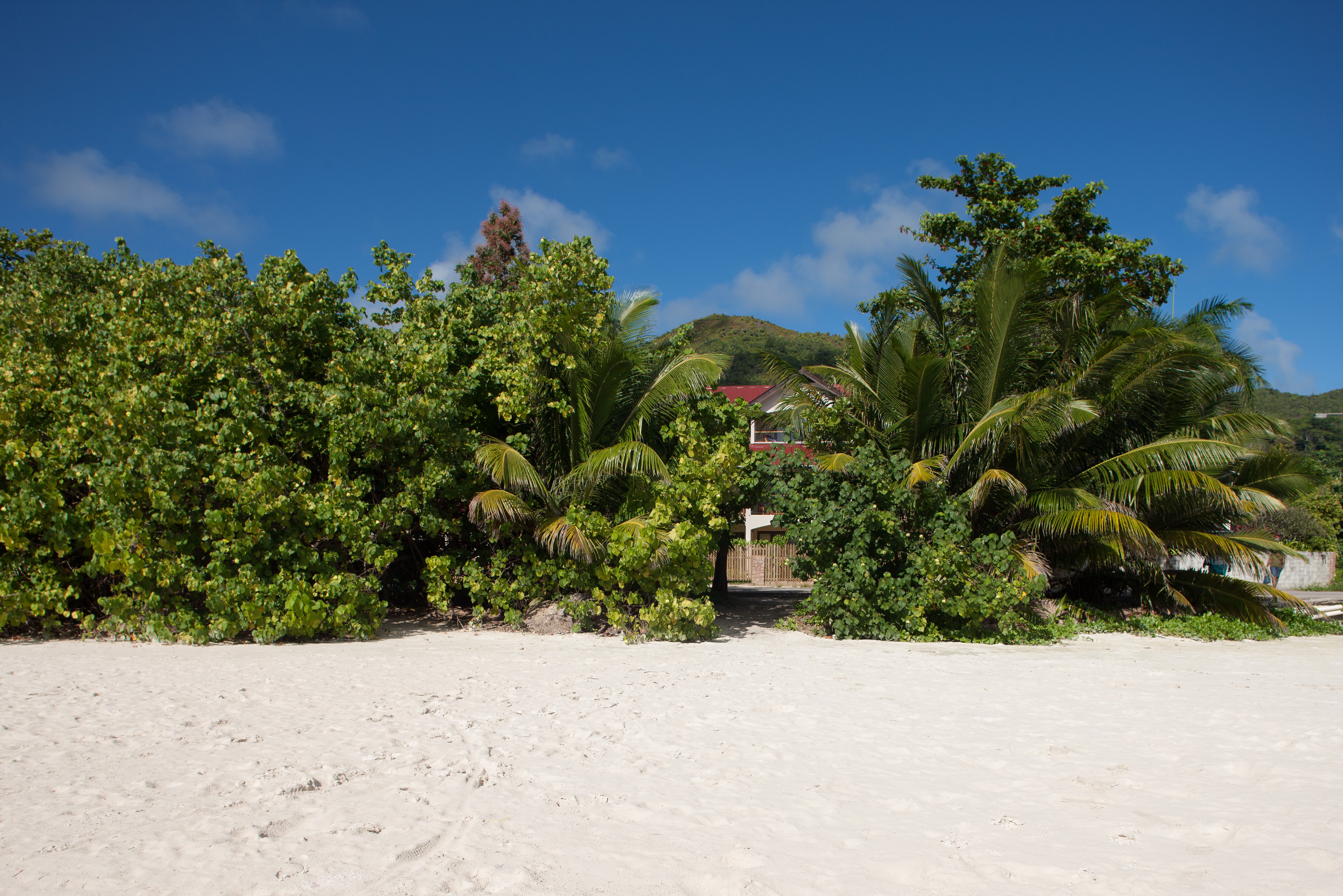 Seychellen Praslin L'Hirondelle Guest House Strand