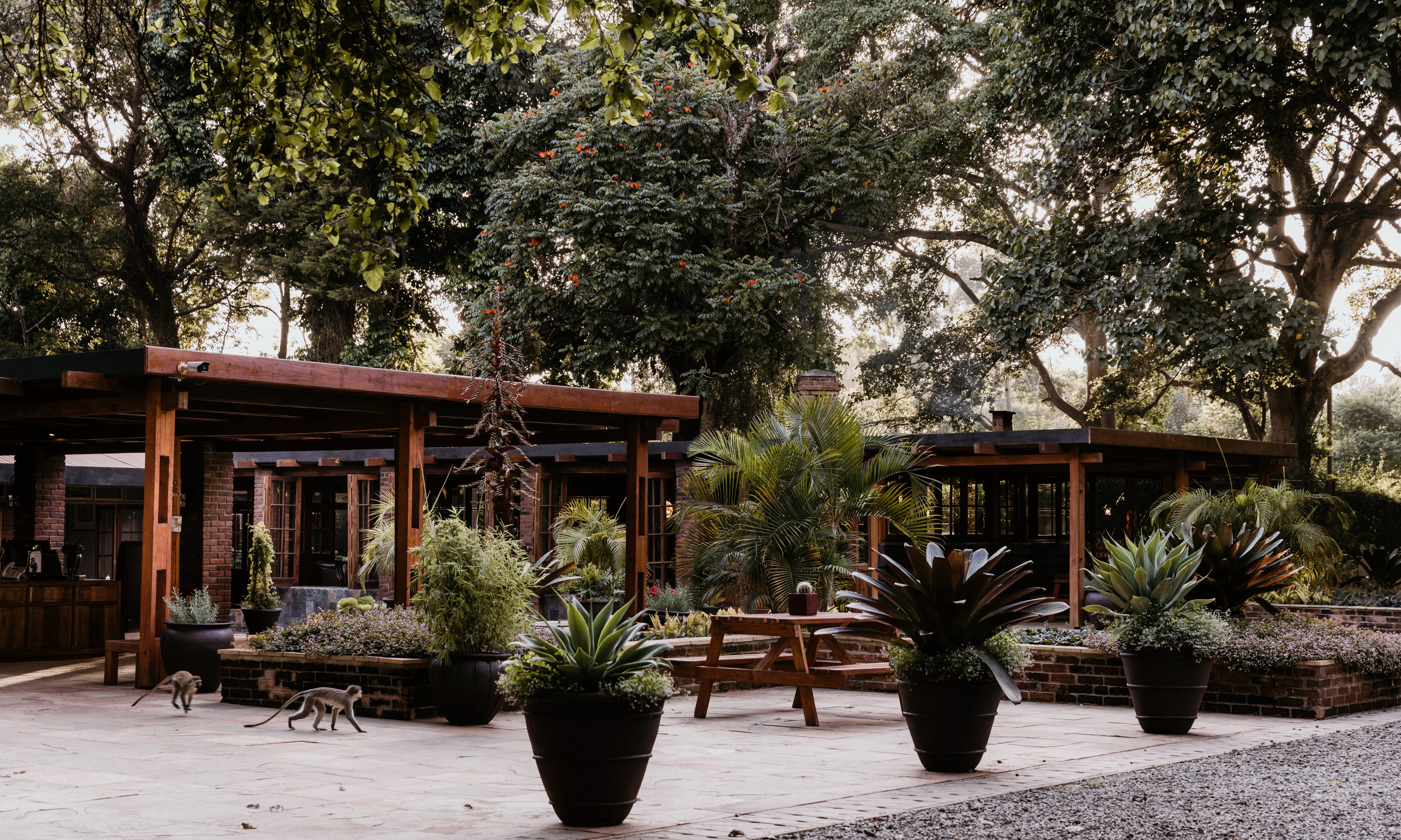 Arusha Coffee Lodge Tanzania