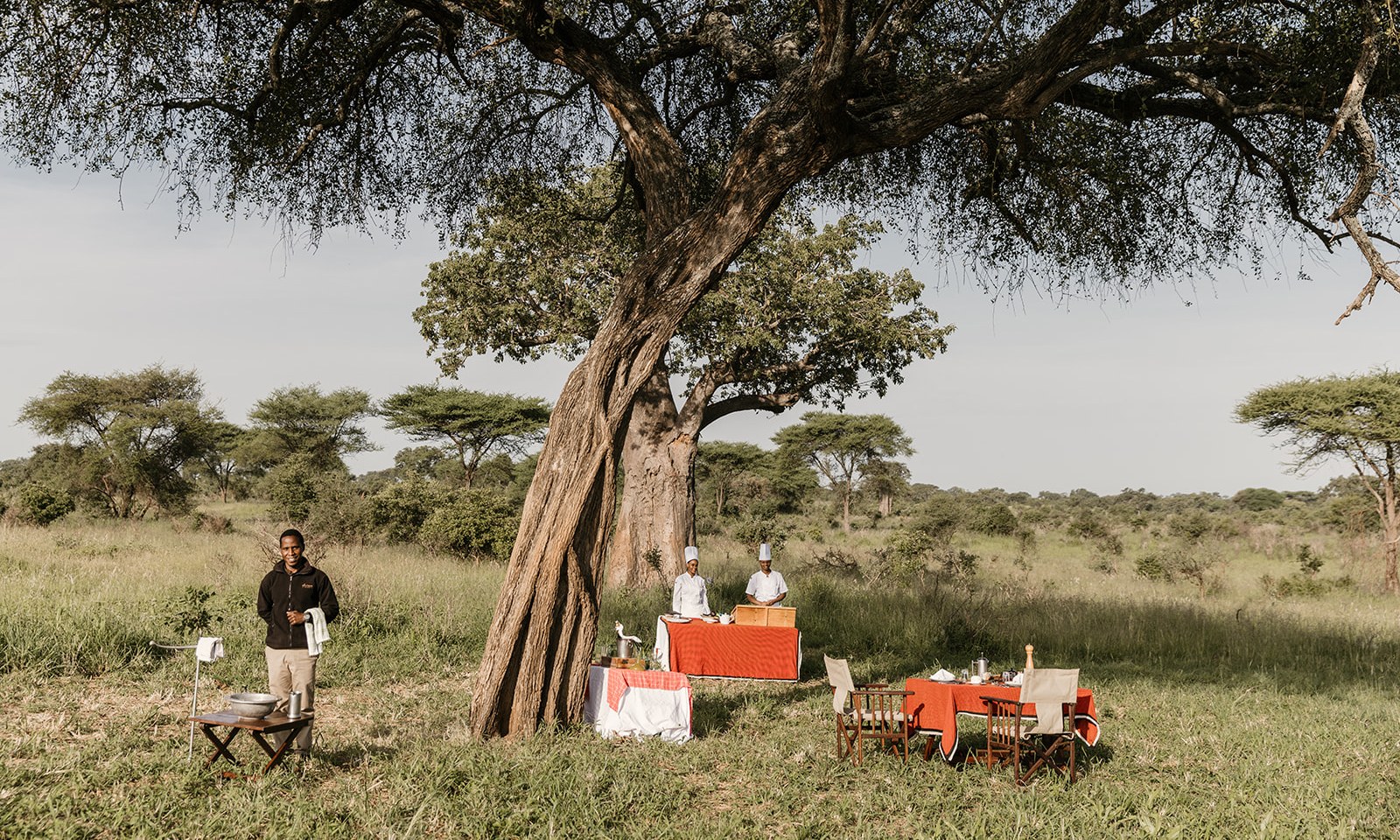 Tarangire Treetops Resort Tanzania