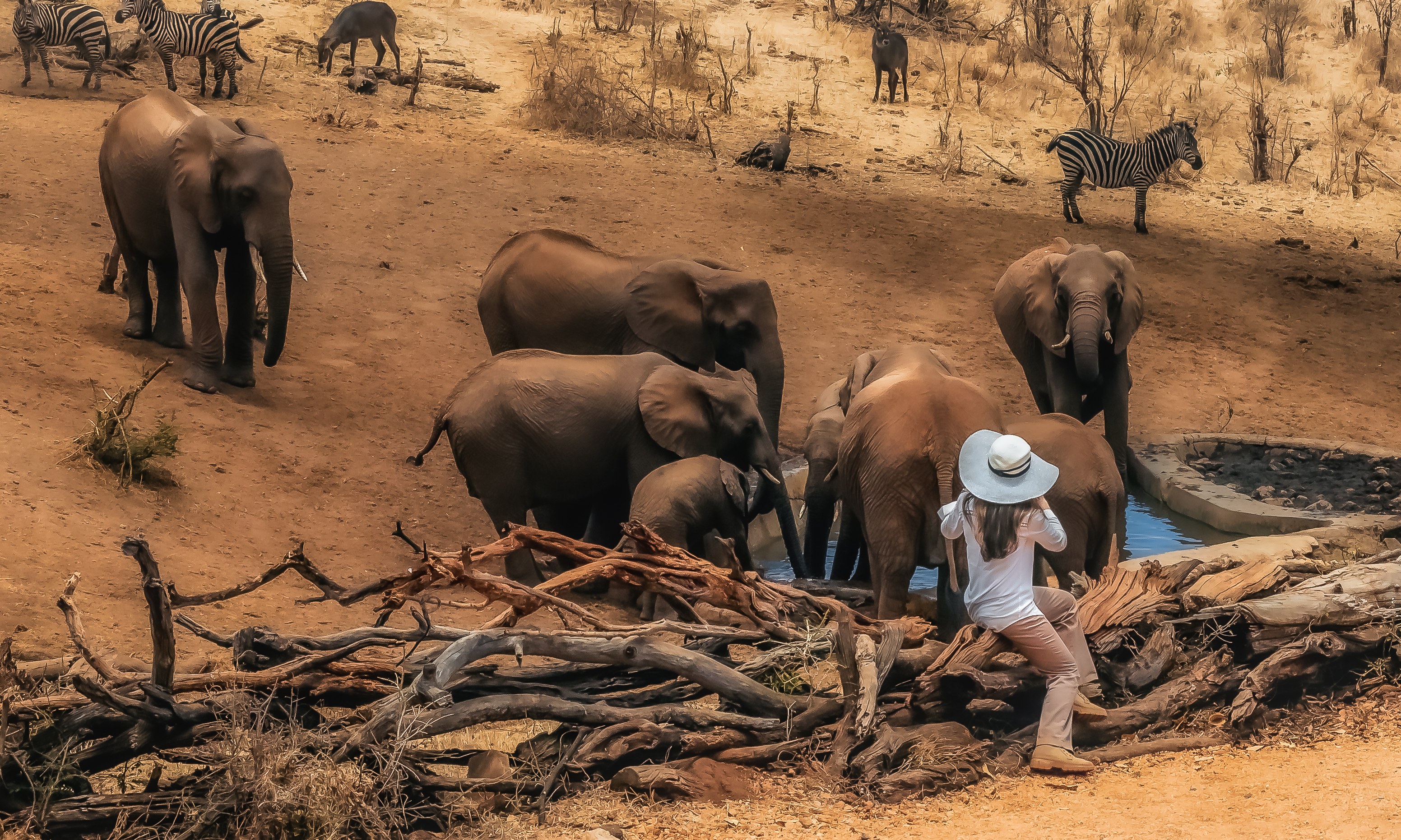 Tarangire Treetops Resort Tanzania