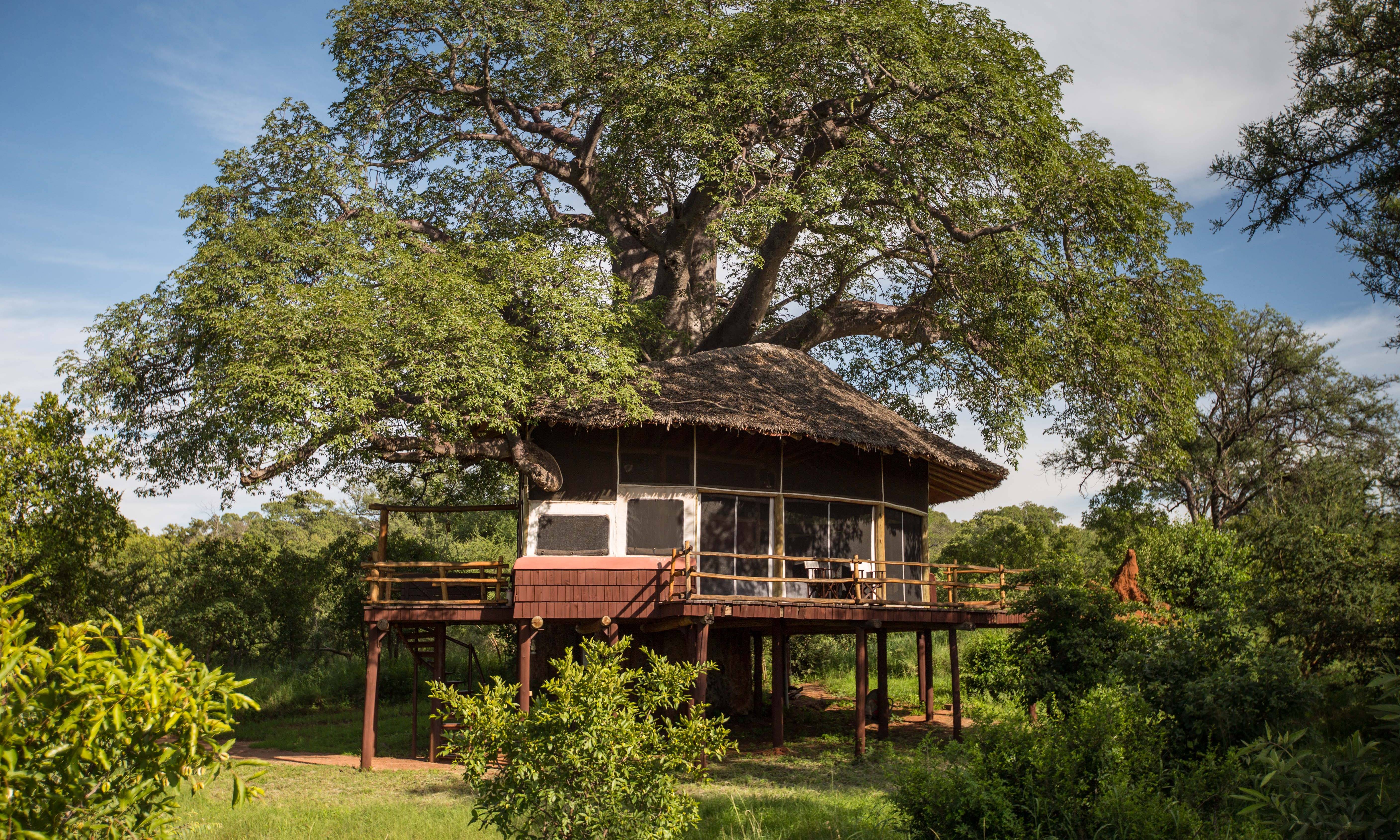 Tarangire Treetops Resort Tanzania