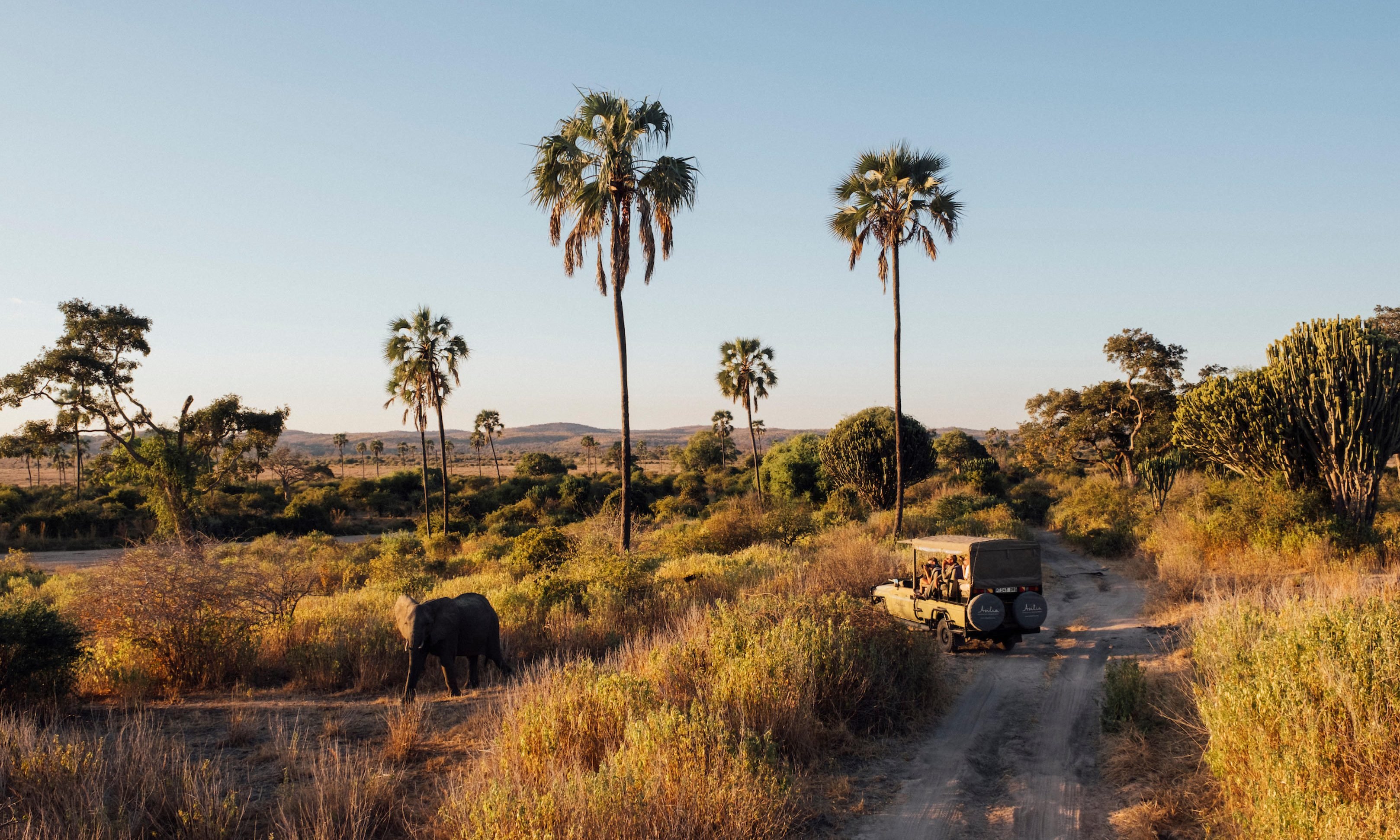 Jabali Ridge Tanzania