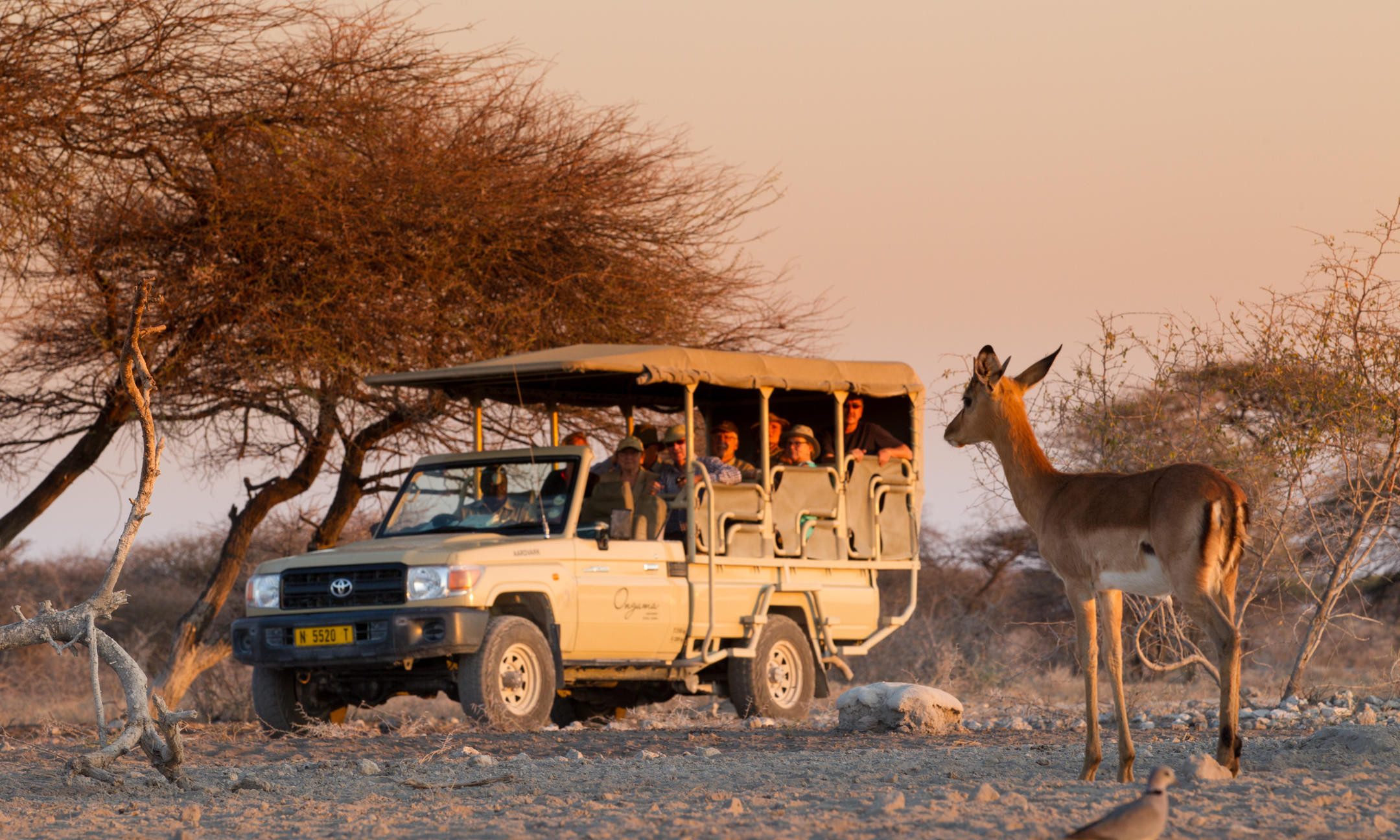 Onguma Camp Kala Namibië