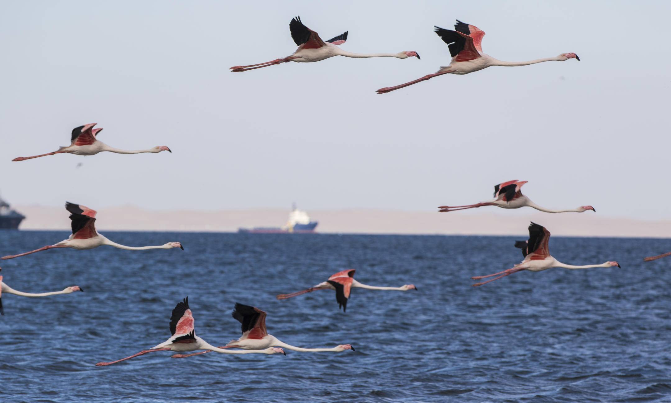 Pelican Point Lodge Walvis Bay Namibië