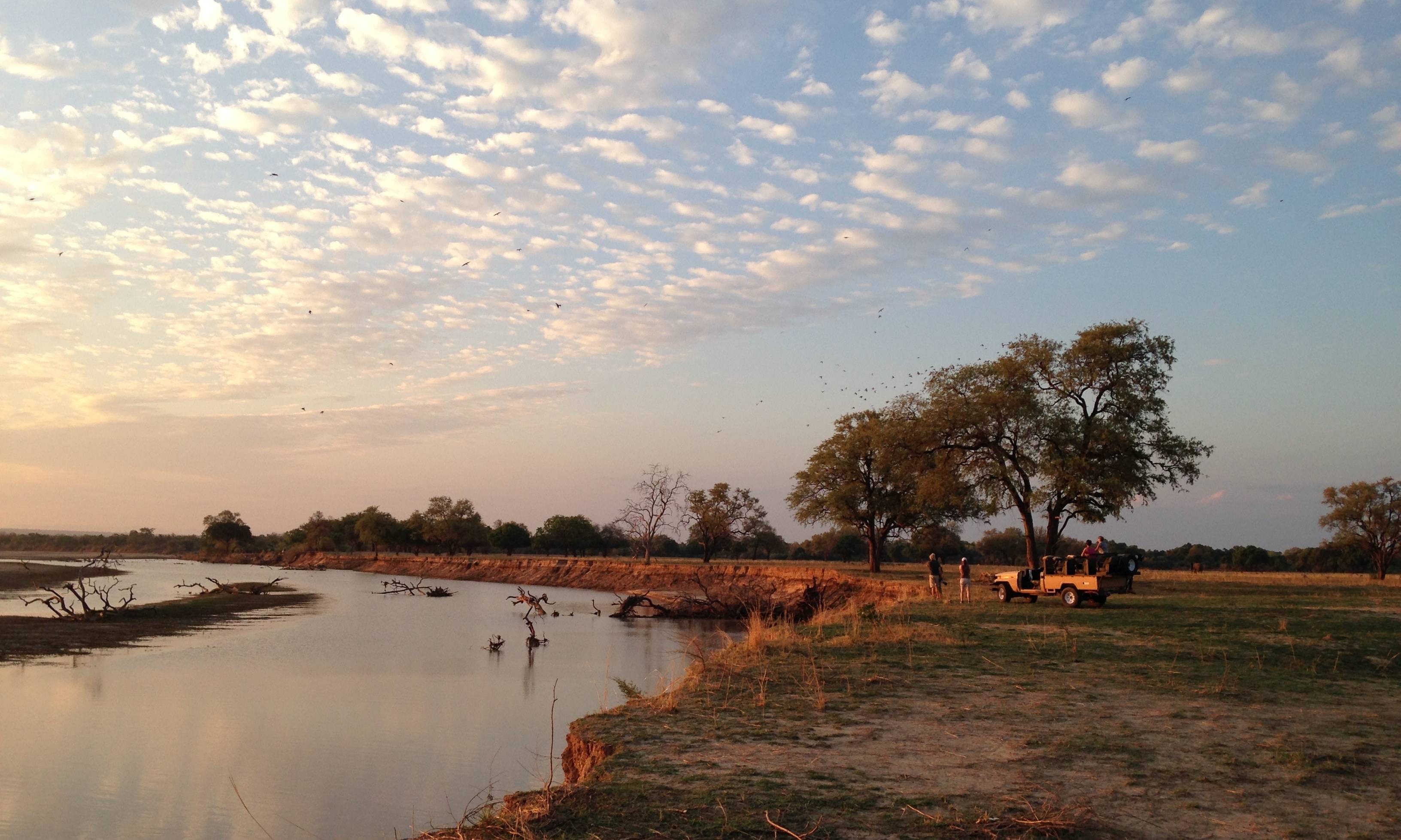 Safari Etosha Namibië