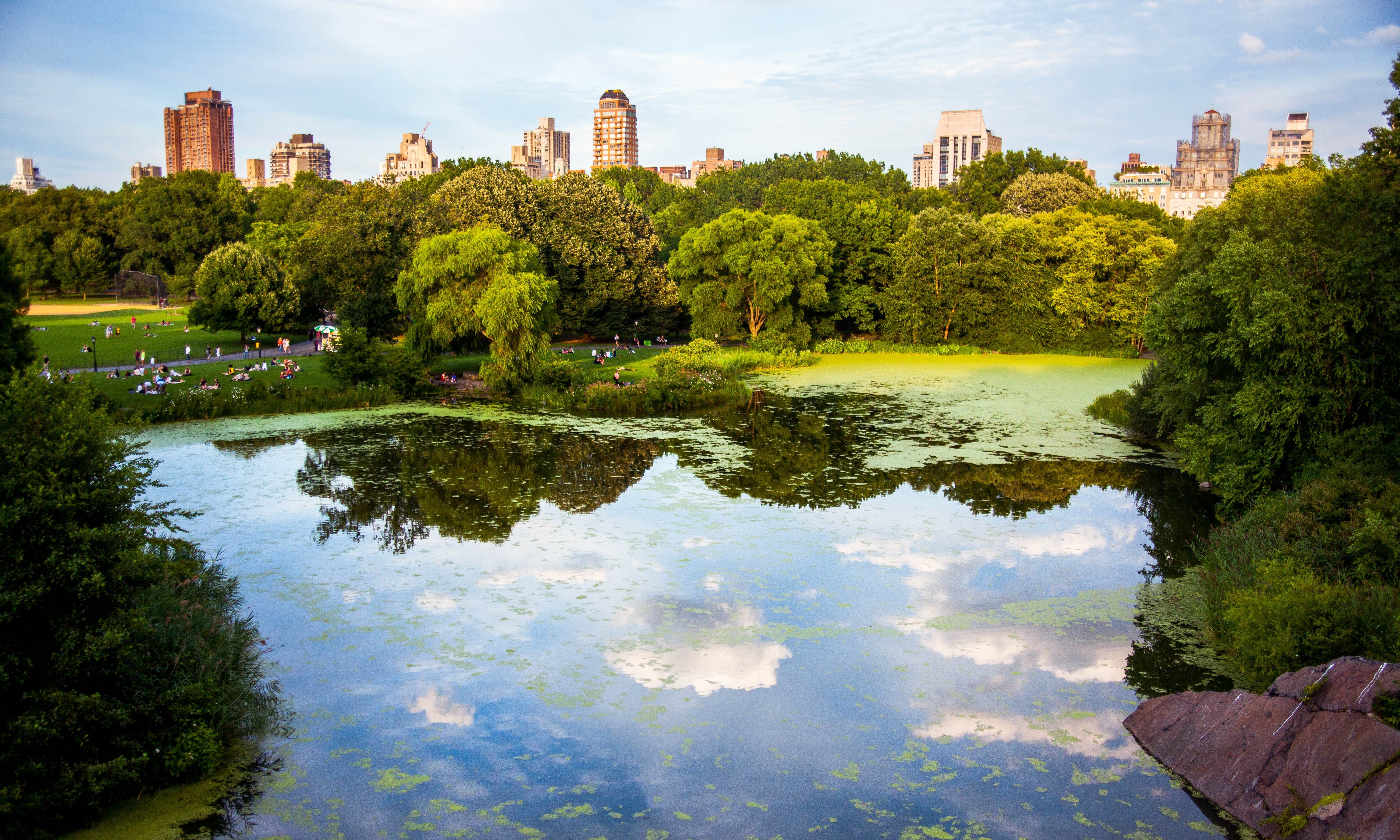 Privé tour filmlocaties in Central Park