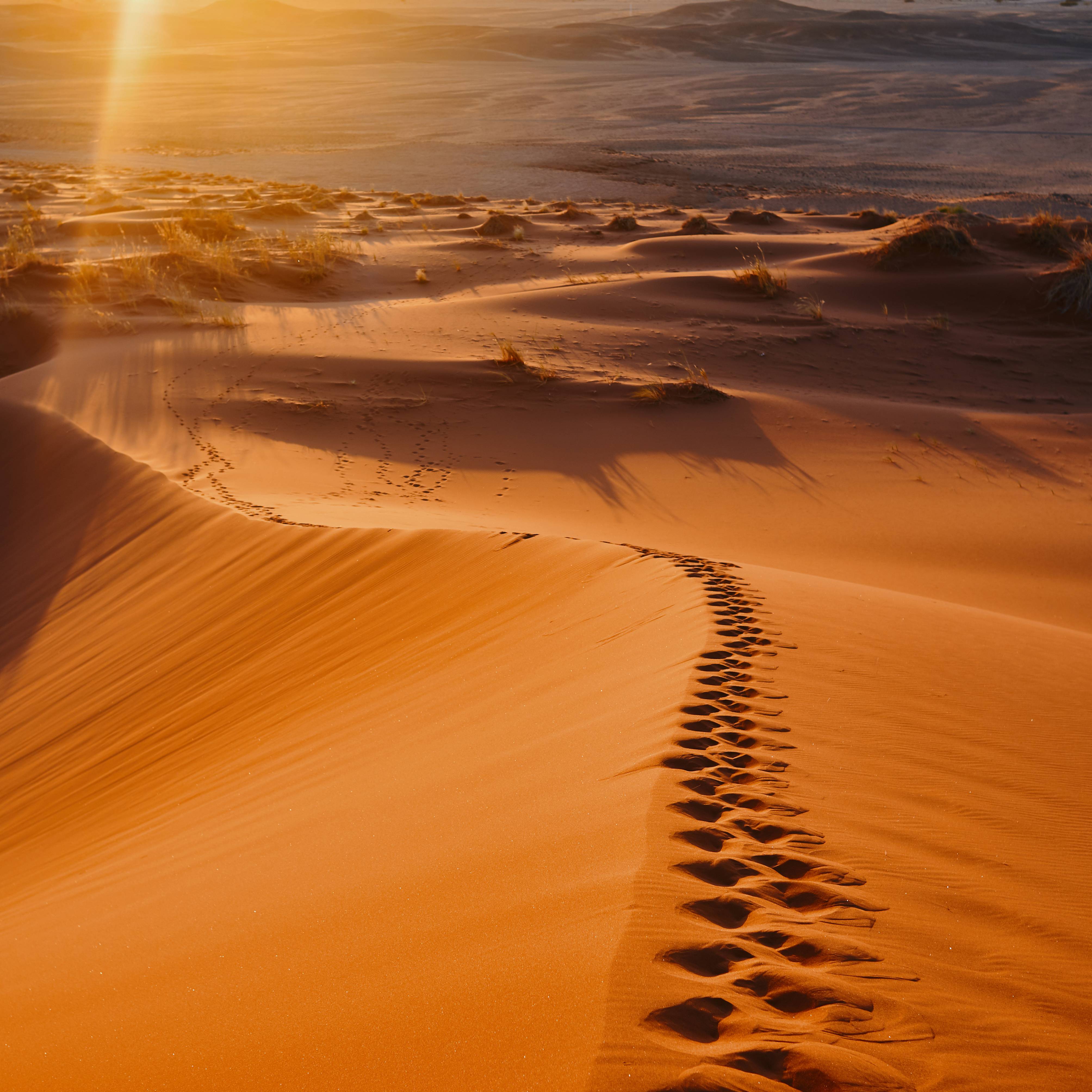 Sossusvlei Namibië