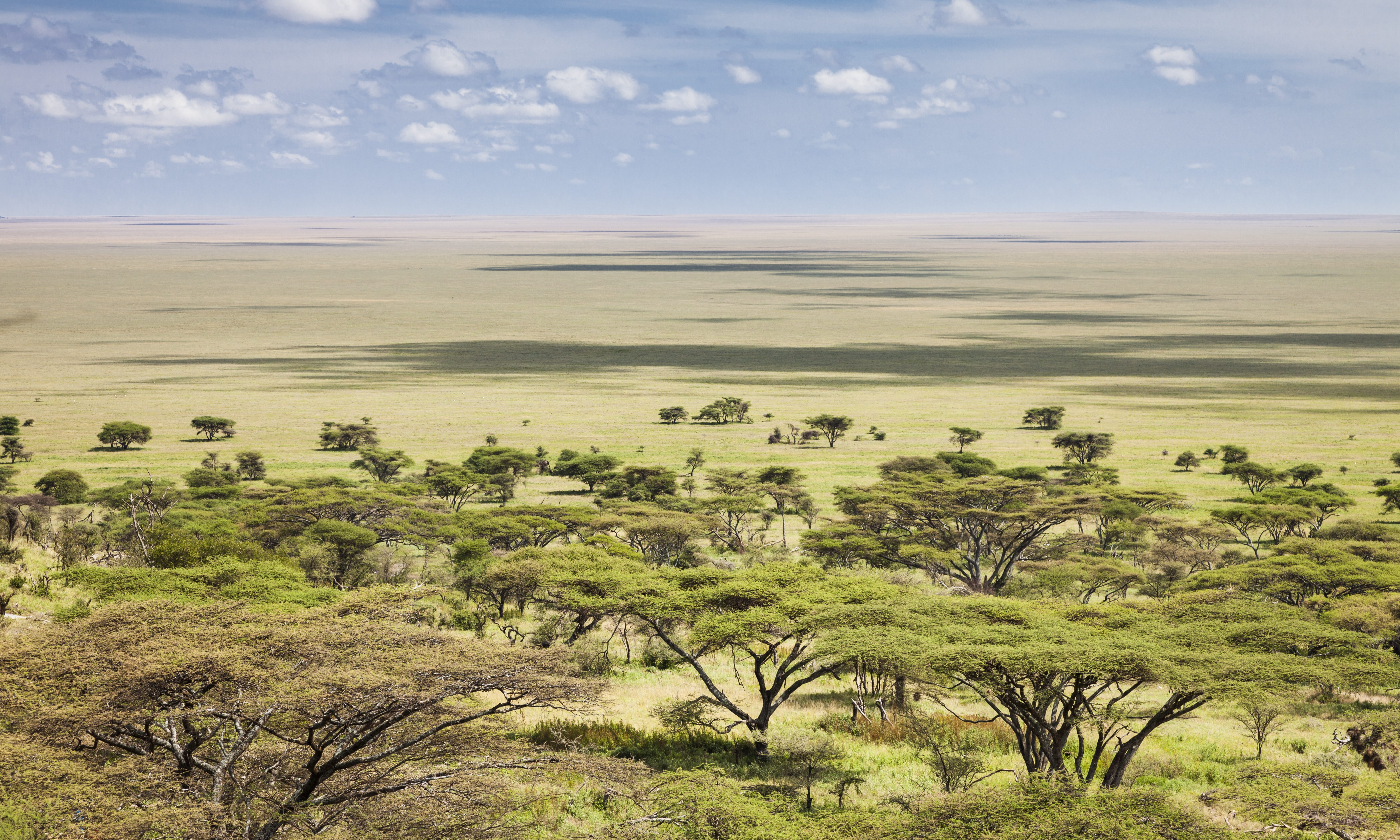 Serengeti NP Tanzania