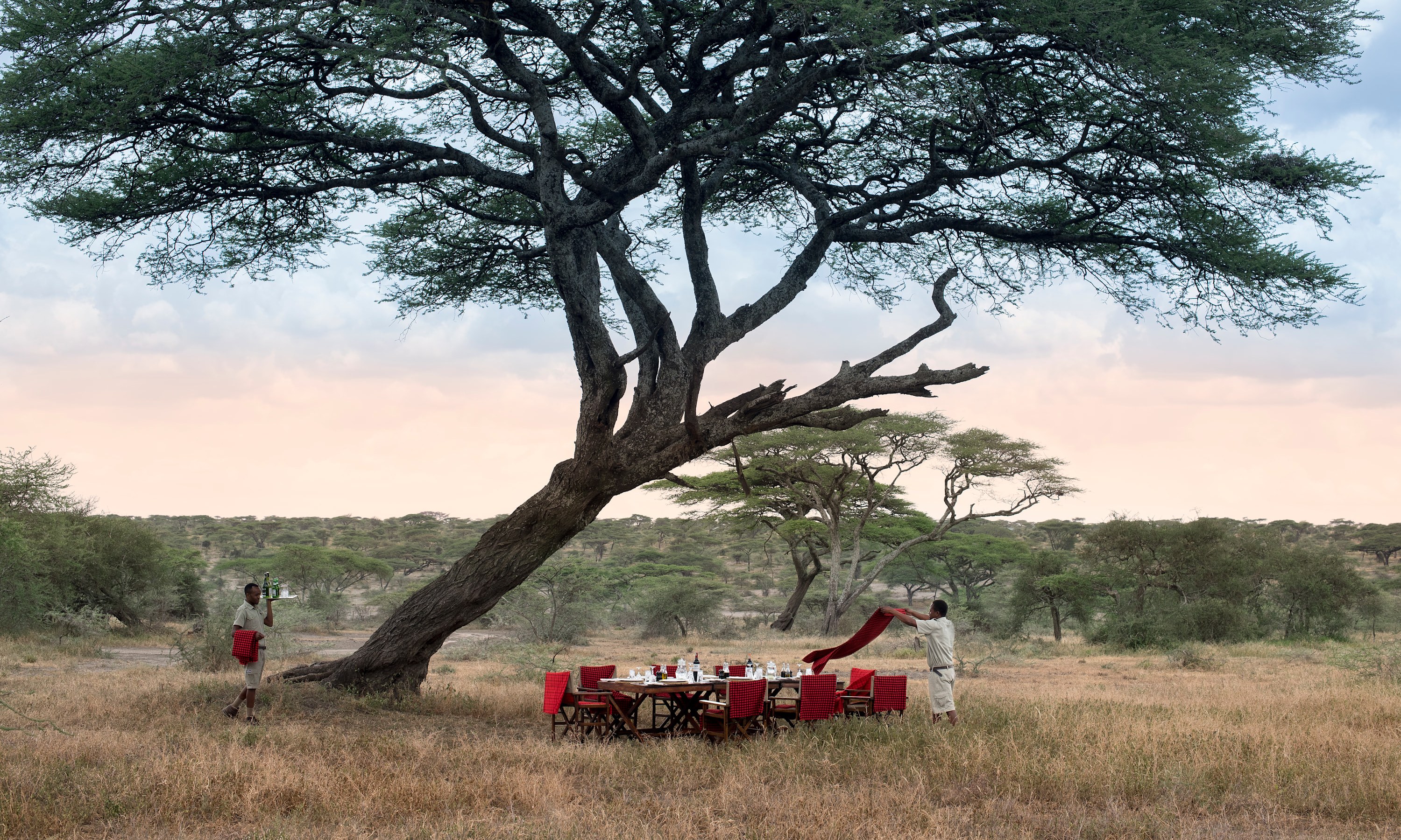 Serengeti NP Tanzania