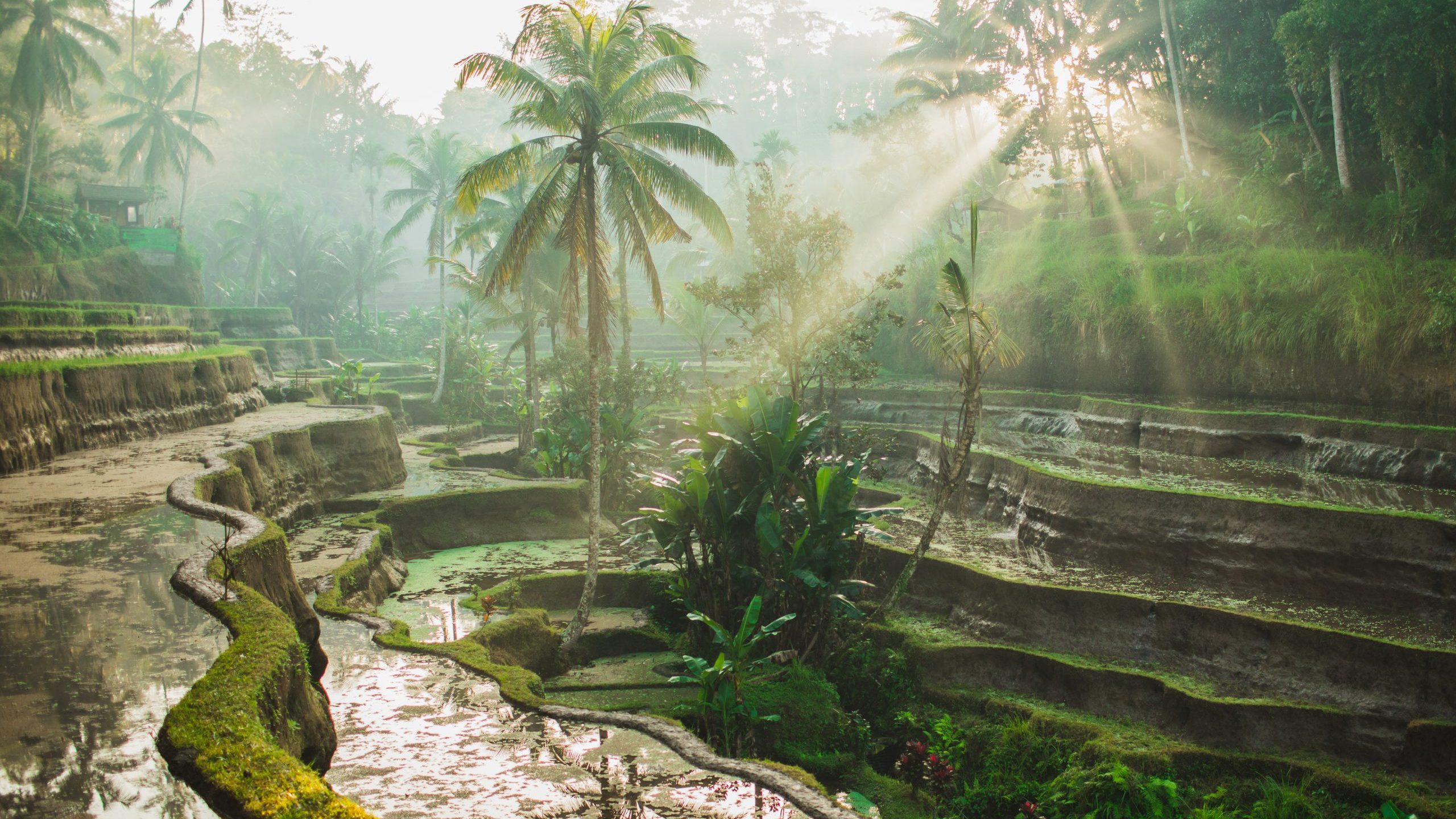 Ubud Bali