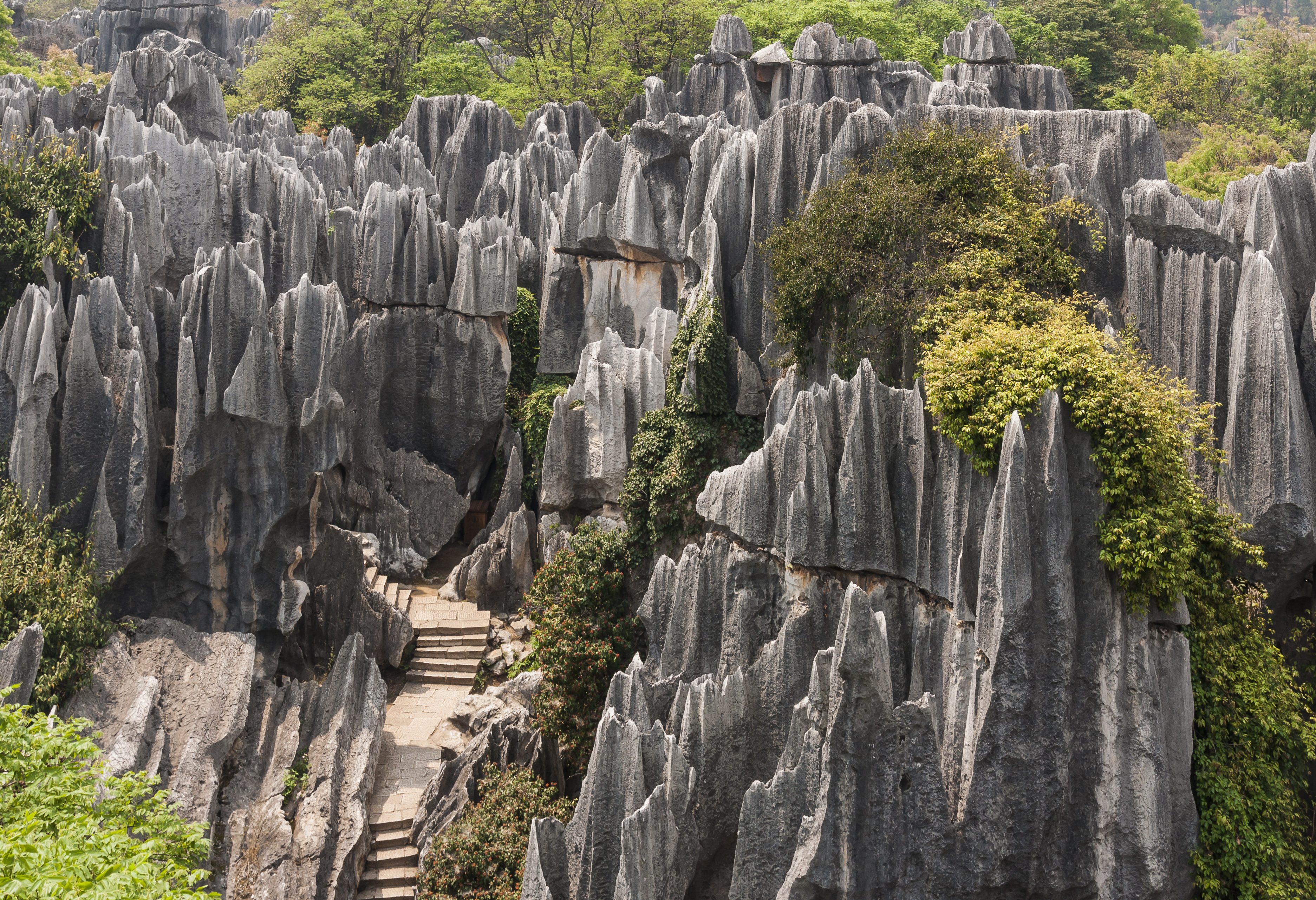 China Yunnan Stone Forest