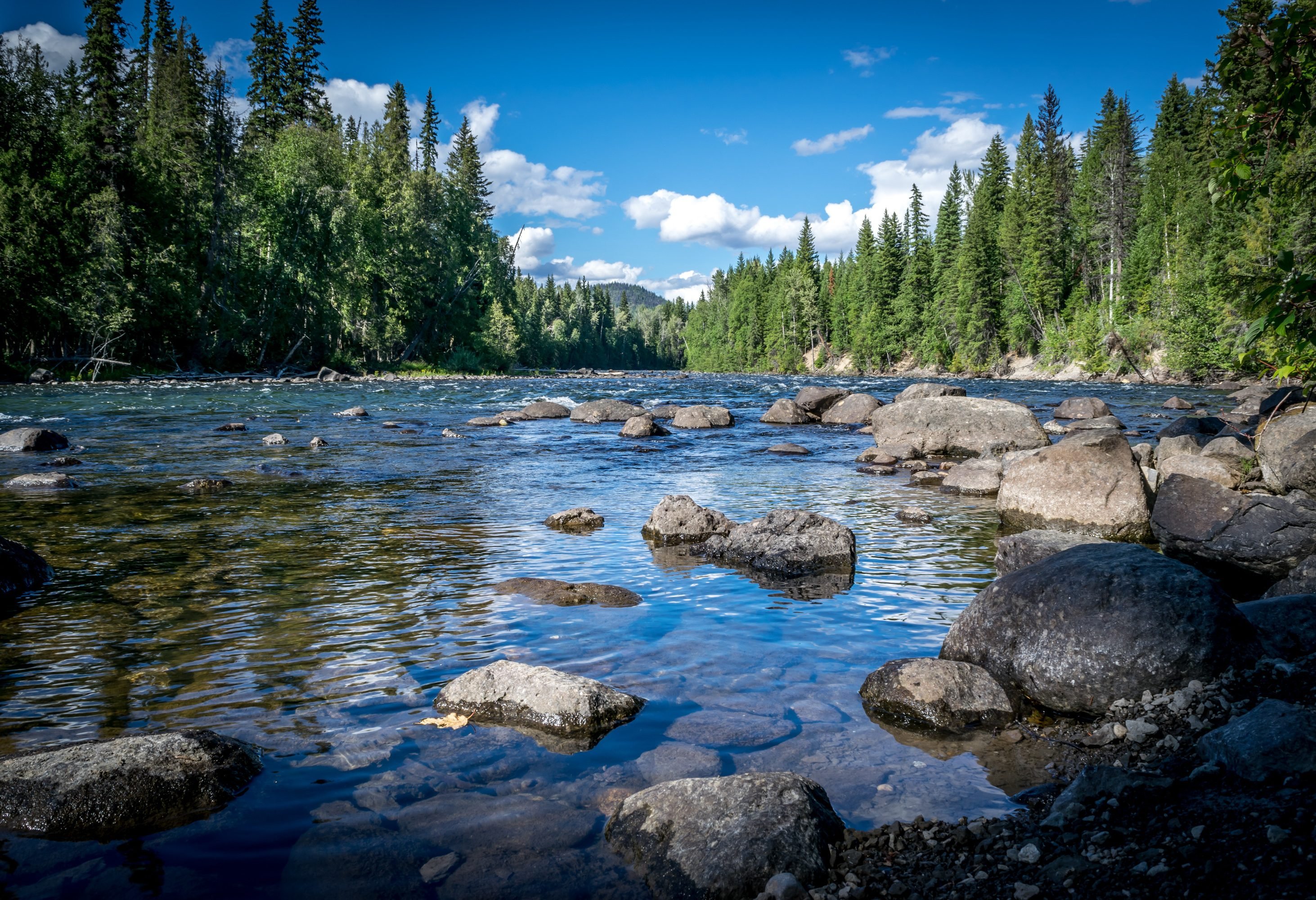 anada Wells Grey Provincial Park