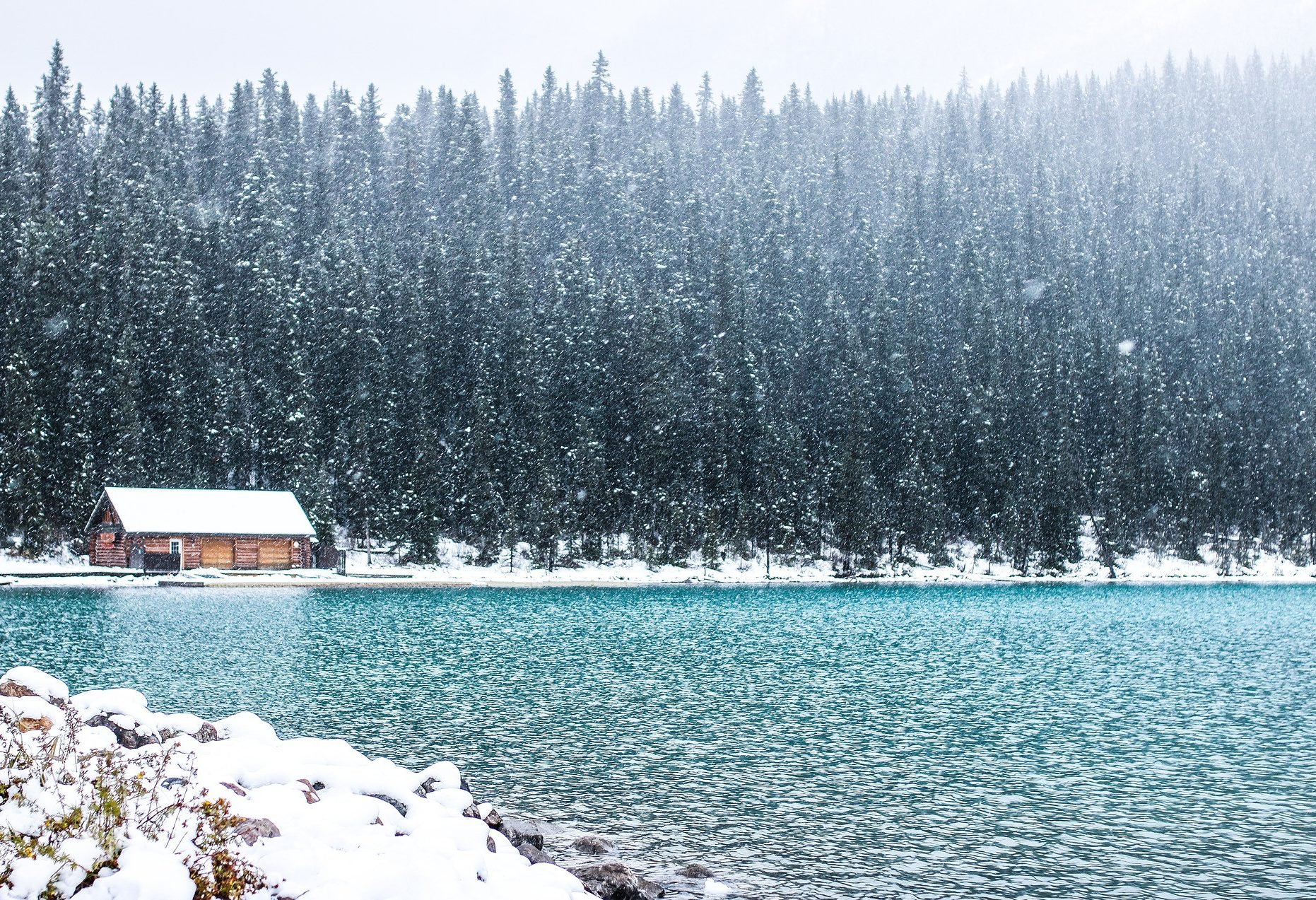 Canada Lake Louise Sneeuw