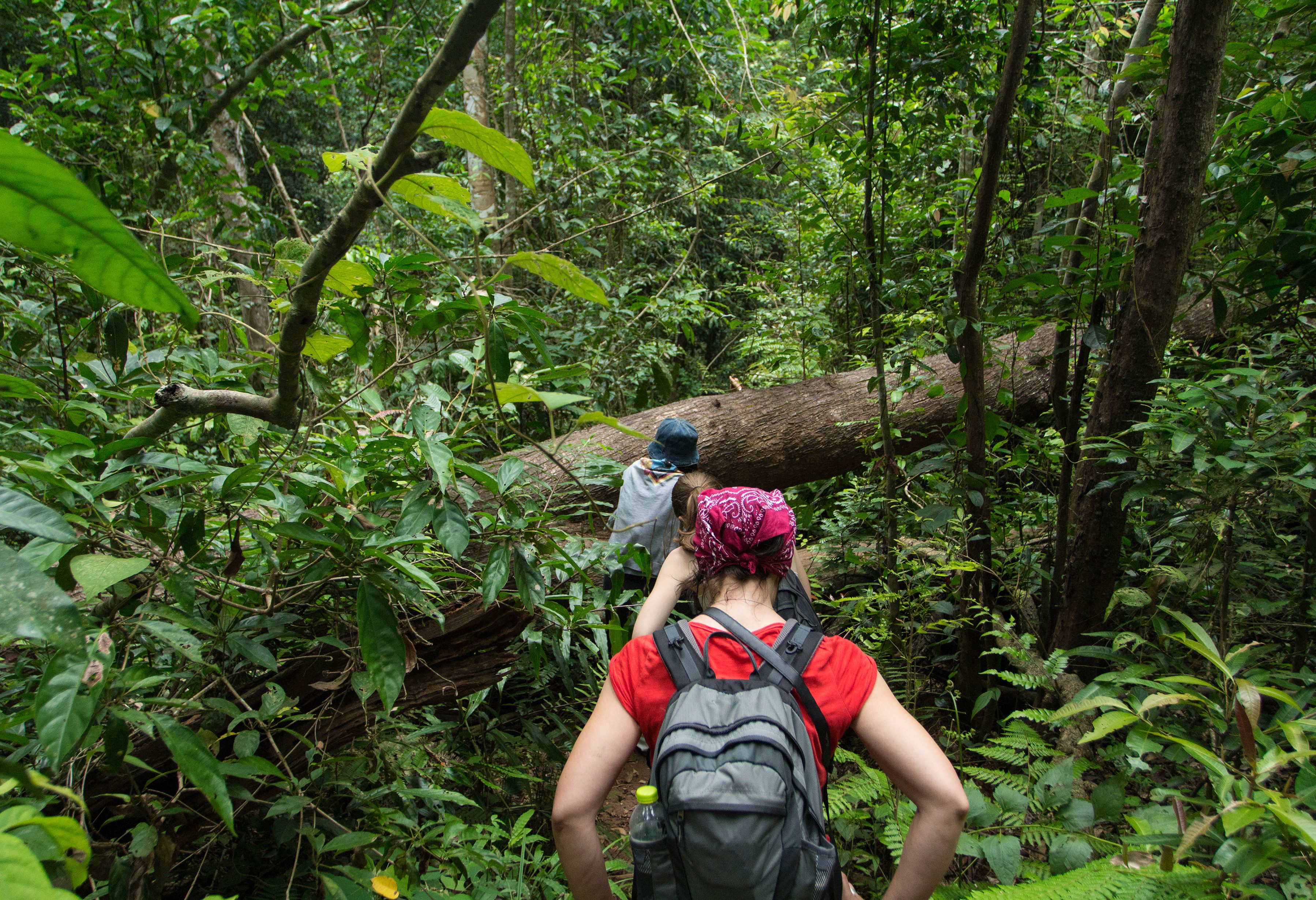 Trekking in Khao Yai National Park