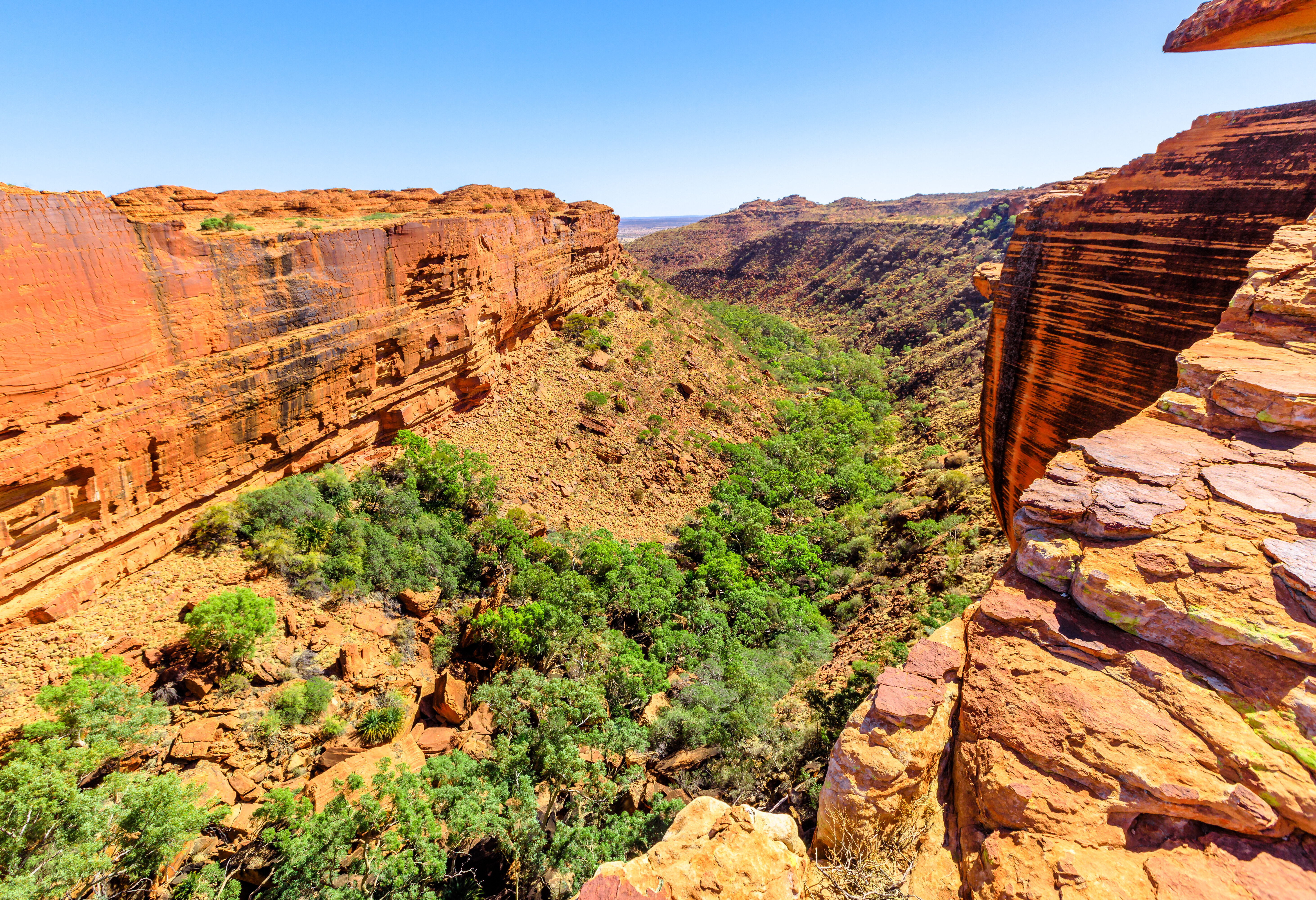 Watarrka National Park of Kings Canyon in het hart van Australie