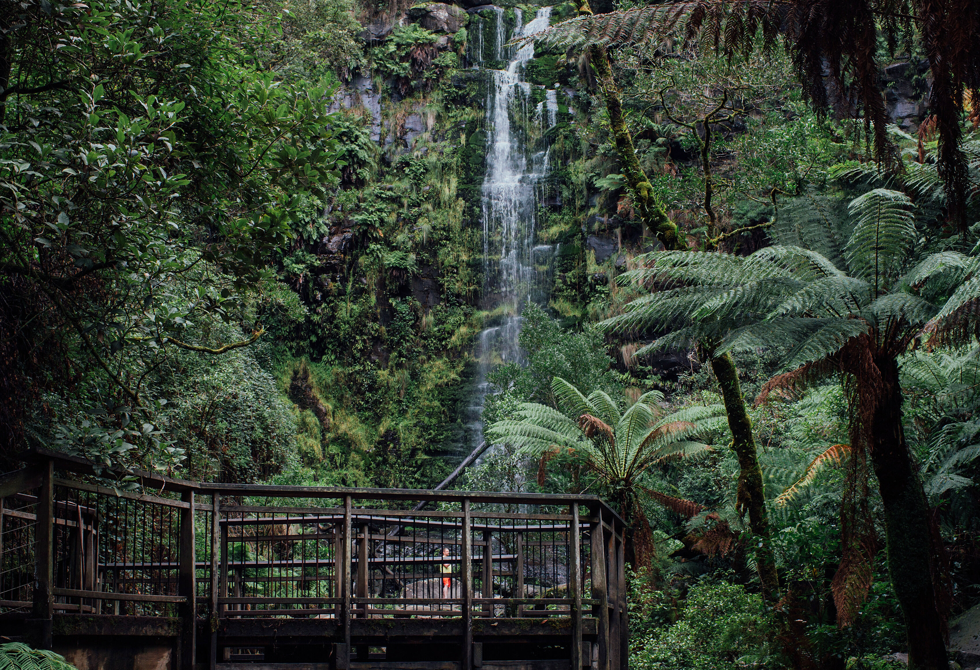 Erskine waterval aan de Great Ocean Road in Australie