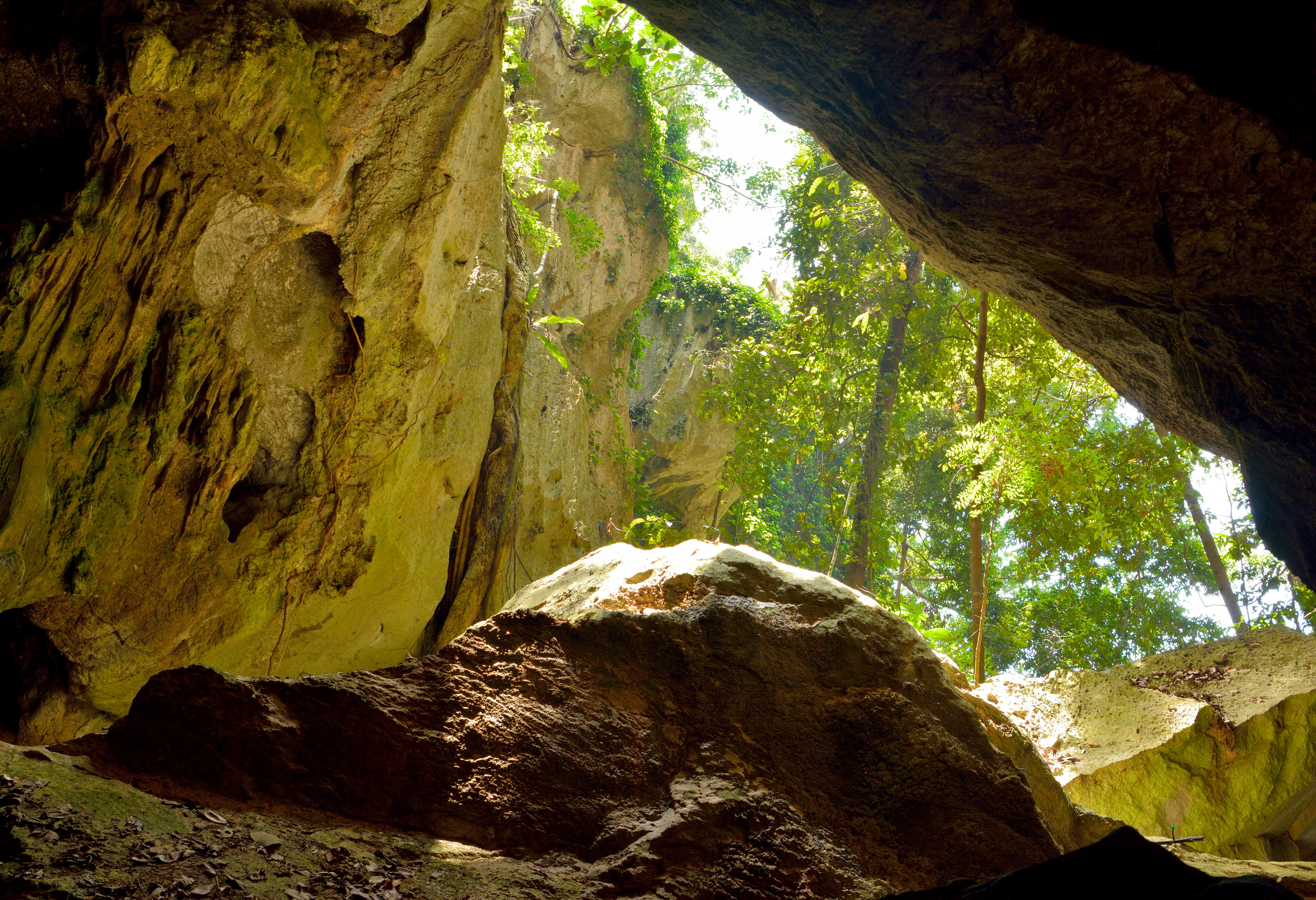 Capricorn Caves nabij Rockhampton in Australie
