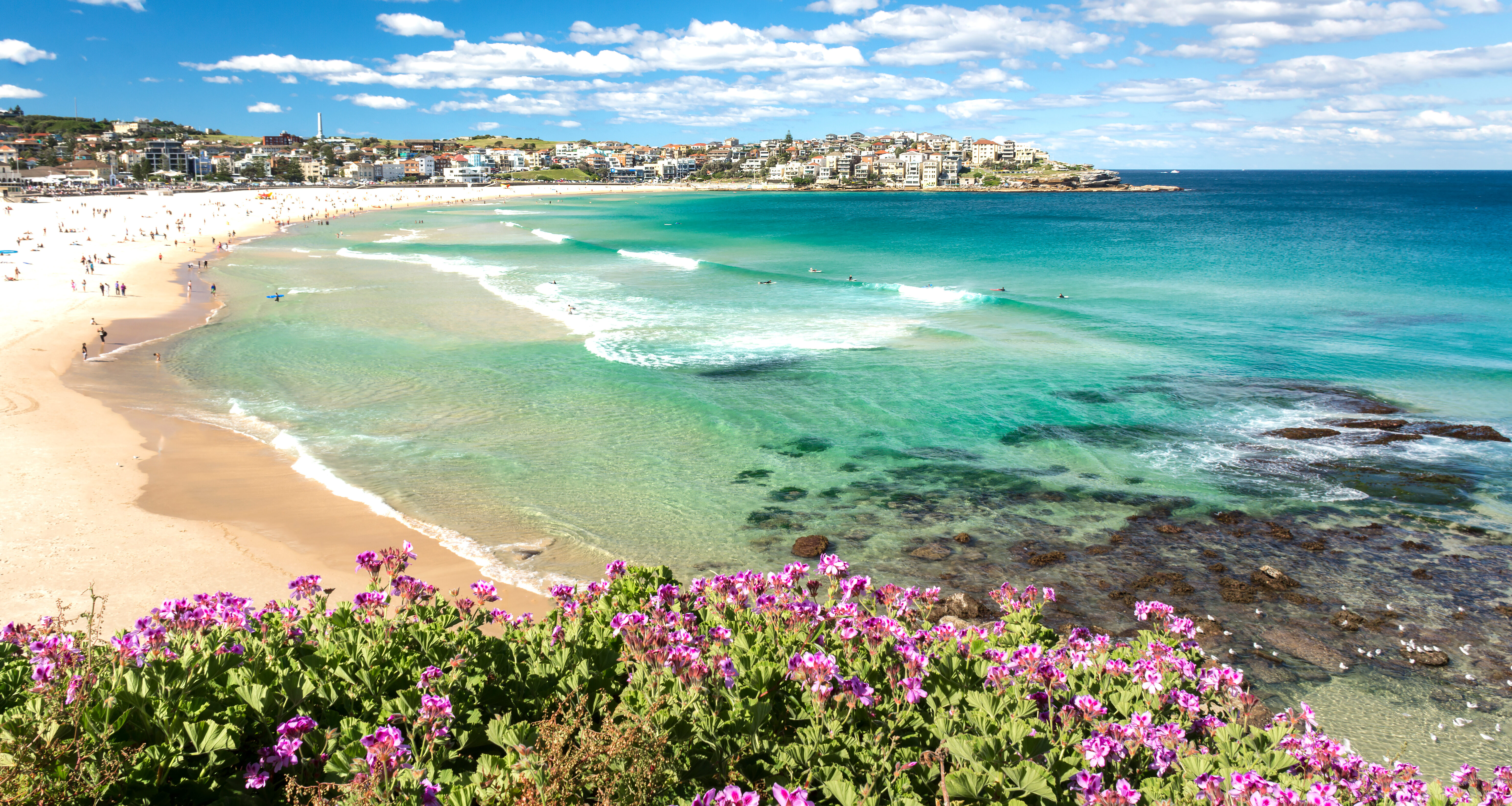 bondi beach
