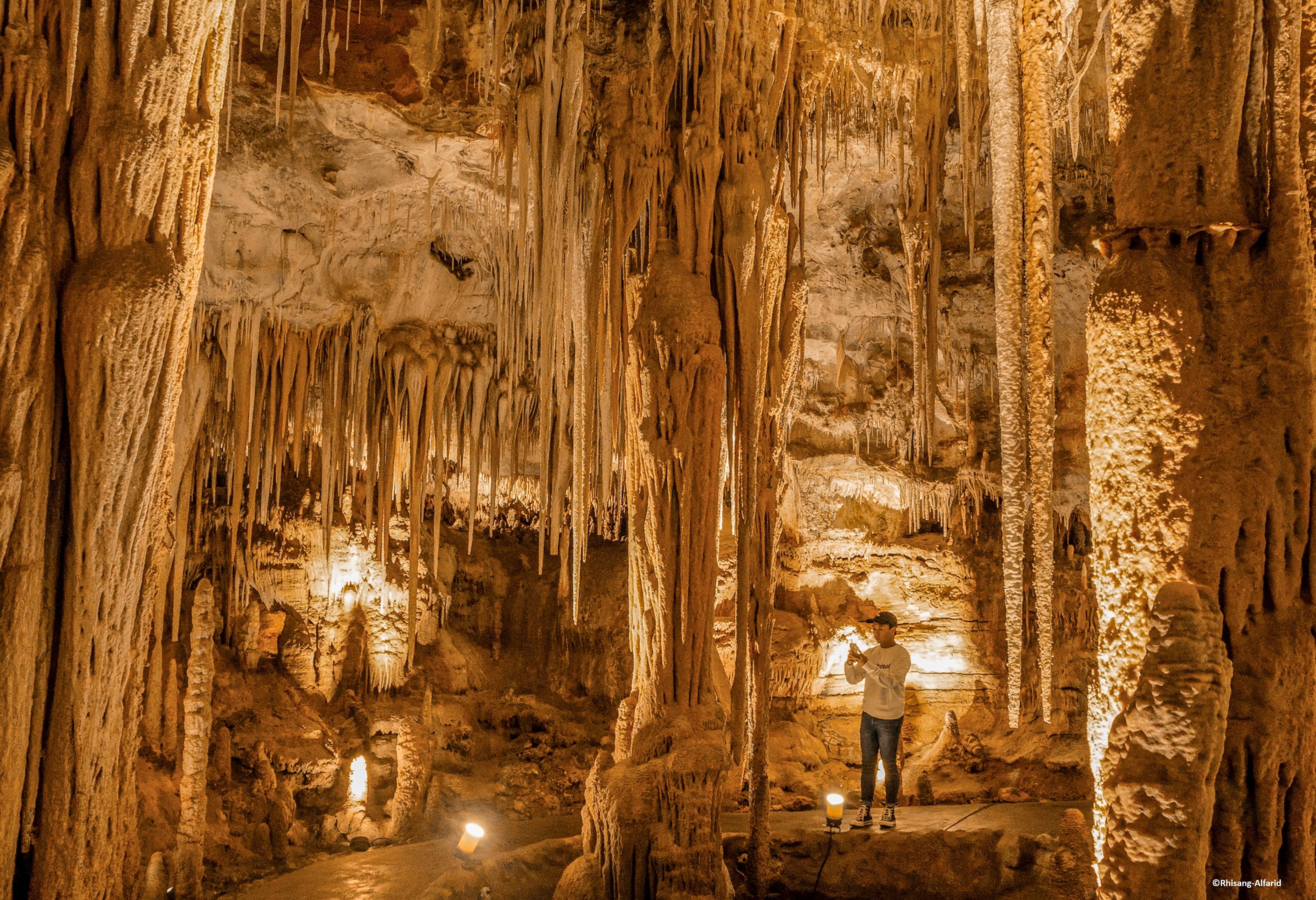 Tantanoola Caves net buiten Millicent in Australie