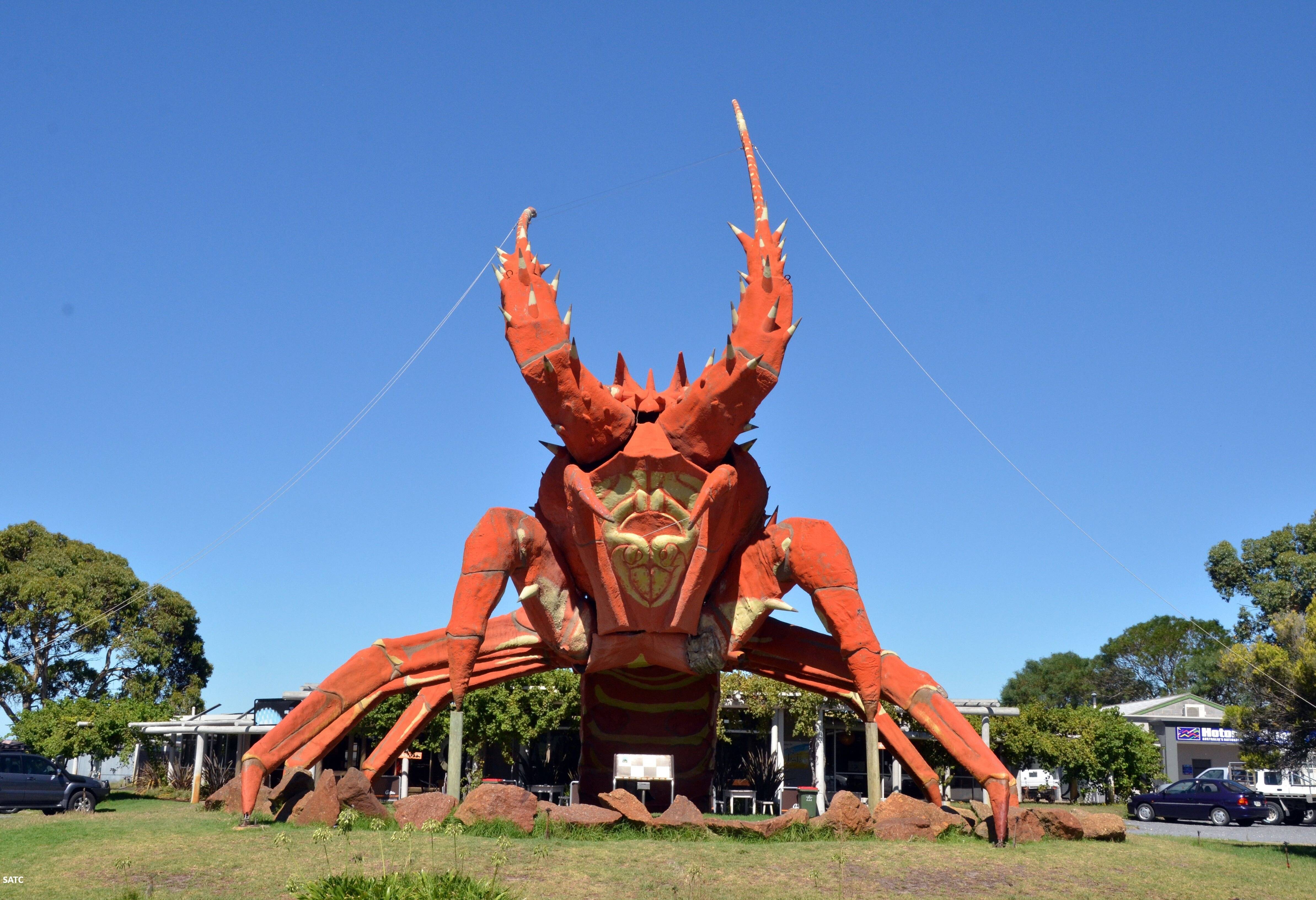 De enorme kreeft bij Kingston in Australie