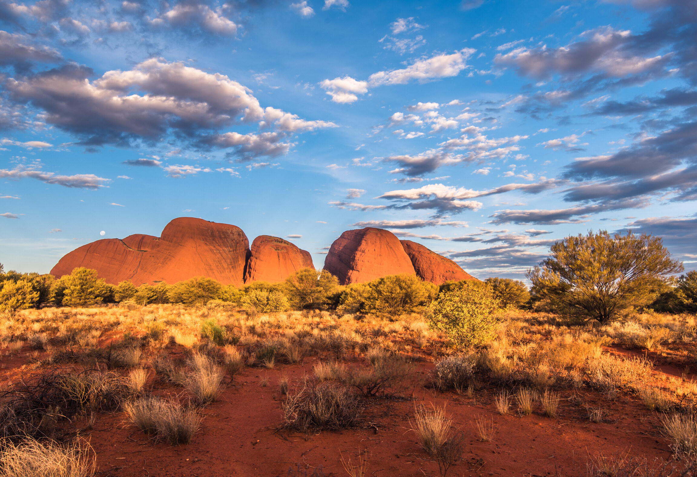 Kata Tjuta in het Uluru-Kata Tjuta National Park in Australie