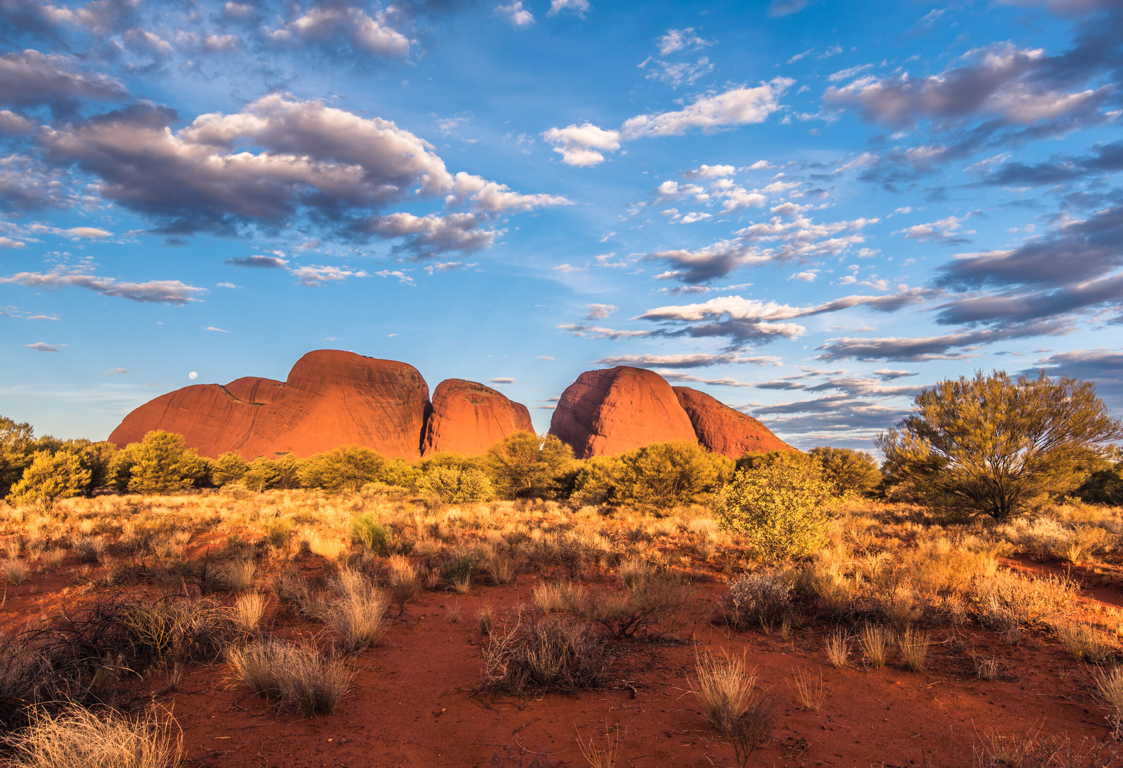 Kata Tjuta in het Uluru-Kata Tjuta National Park in Australie
