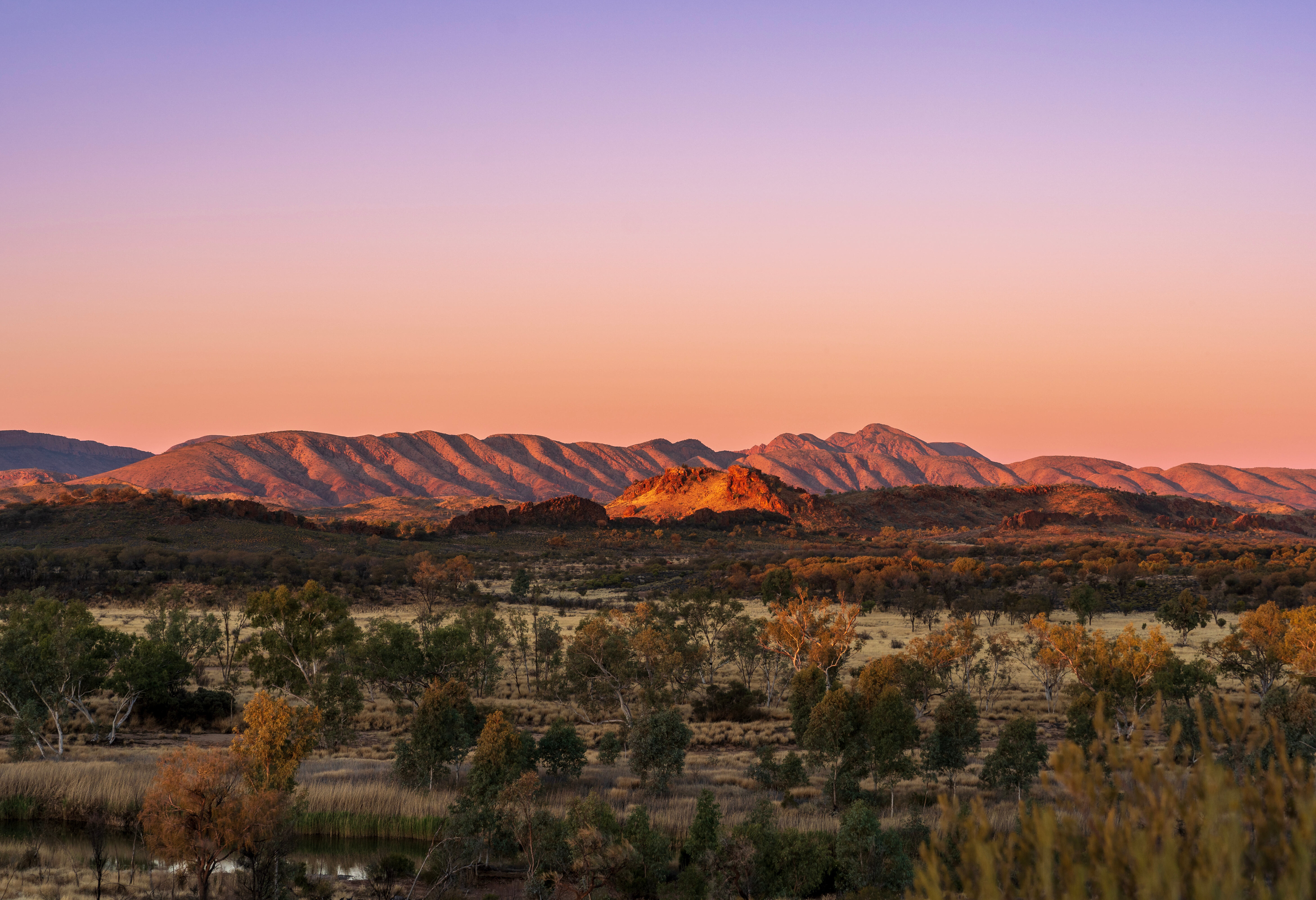 De MacDonnell Ranges nabij Alice Springs in Australie