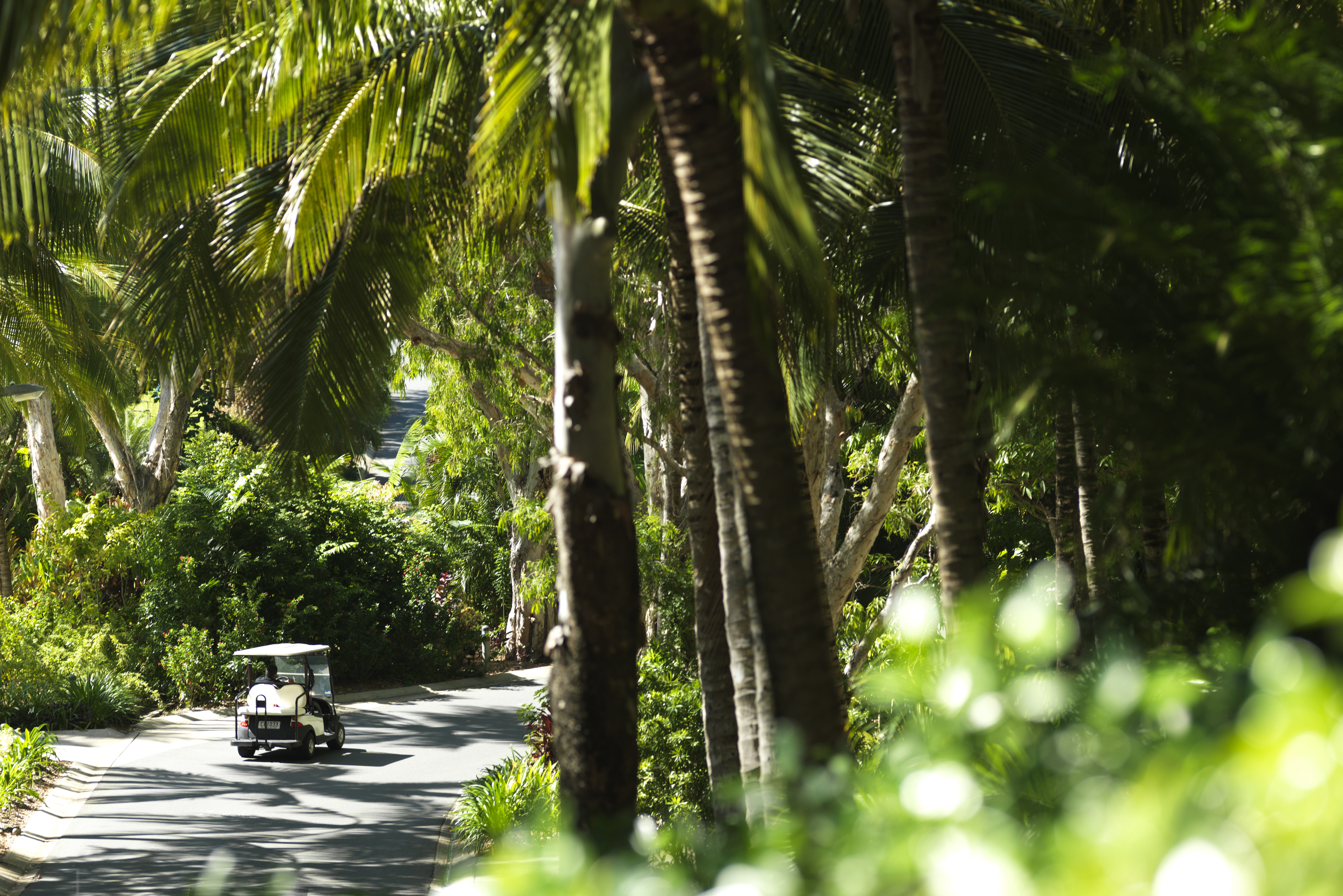 Australie Hamilton Island Buggy