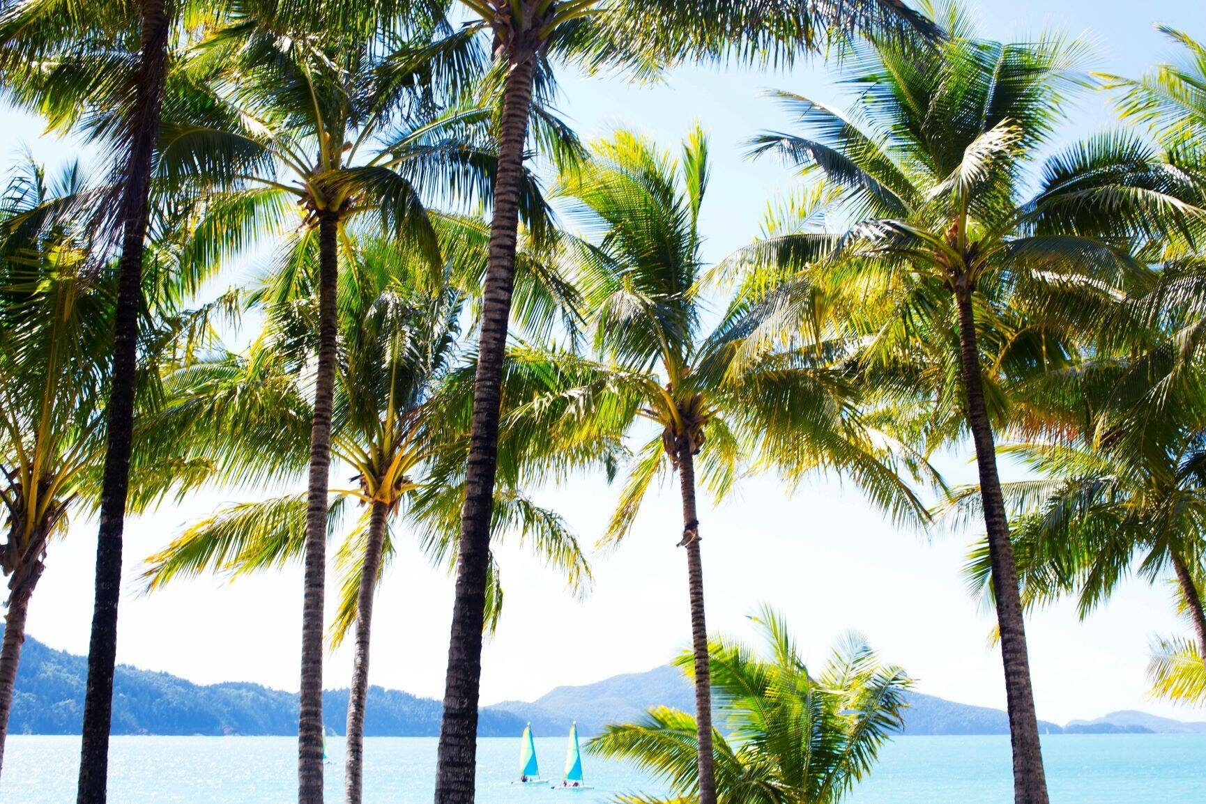 Australie Hamilton Island Catseye Beach