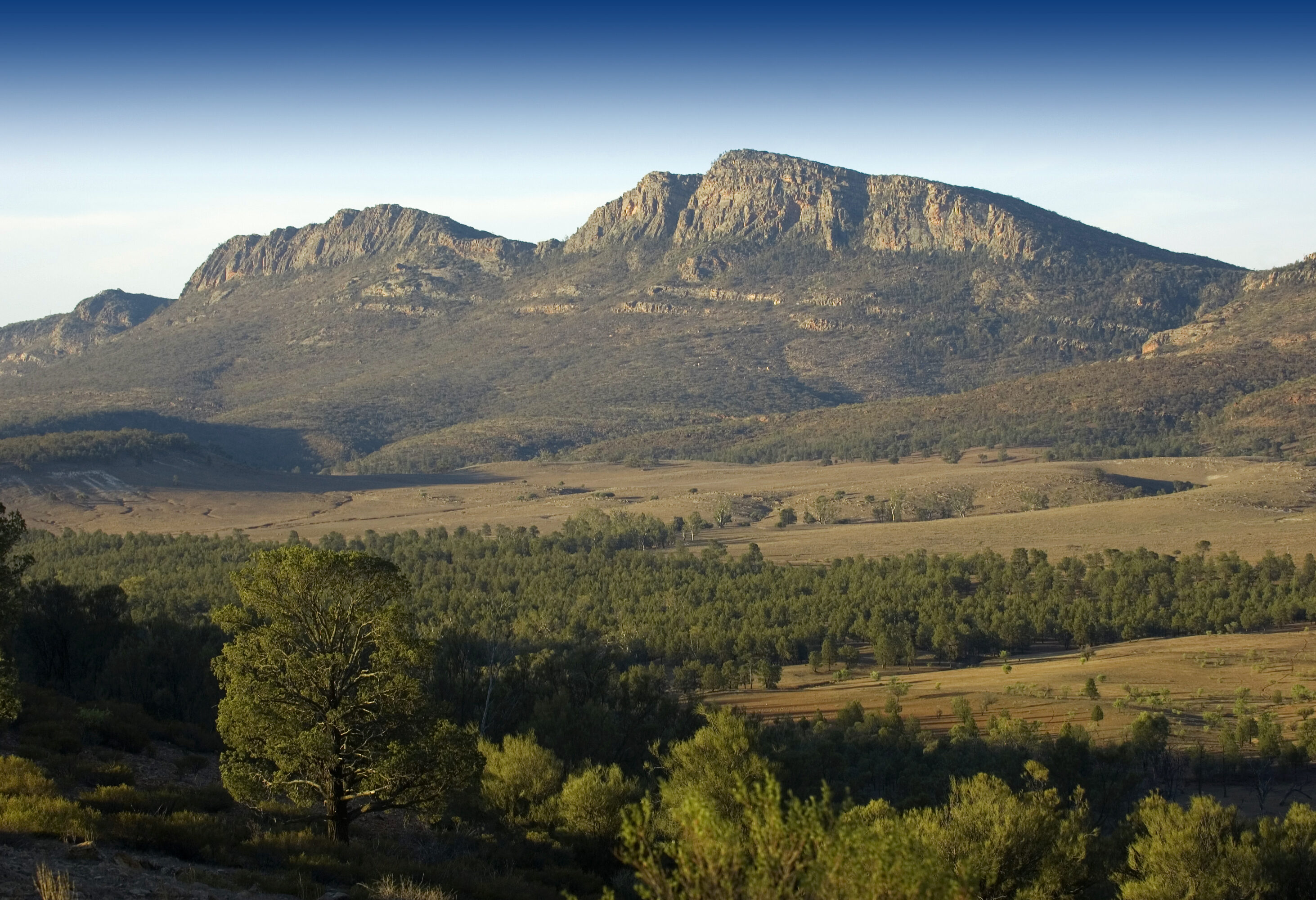 Wilpena Pound in de staat Zuid-Australie