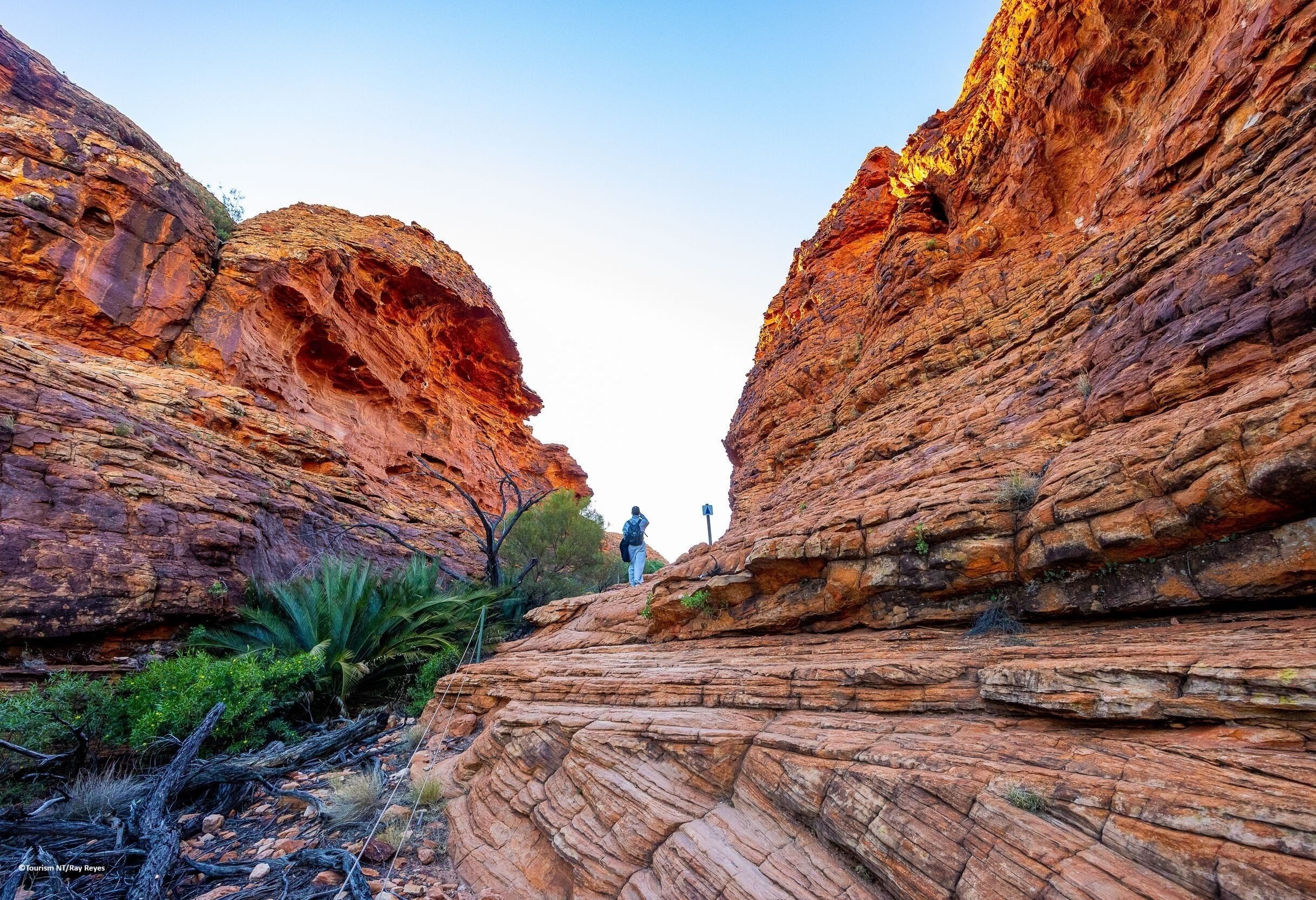 Wandelen in Kings Canyon in het Watarrka National Park in Australie