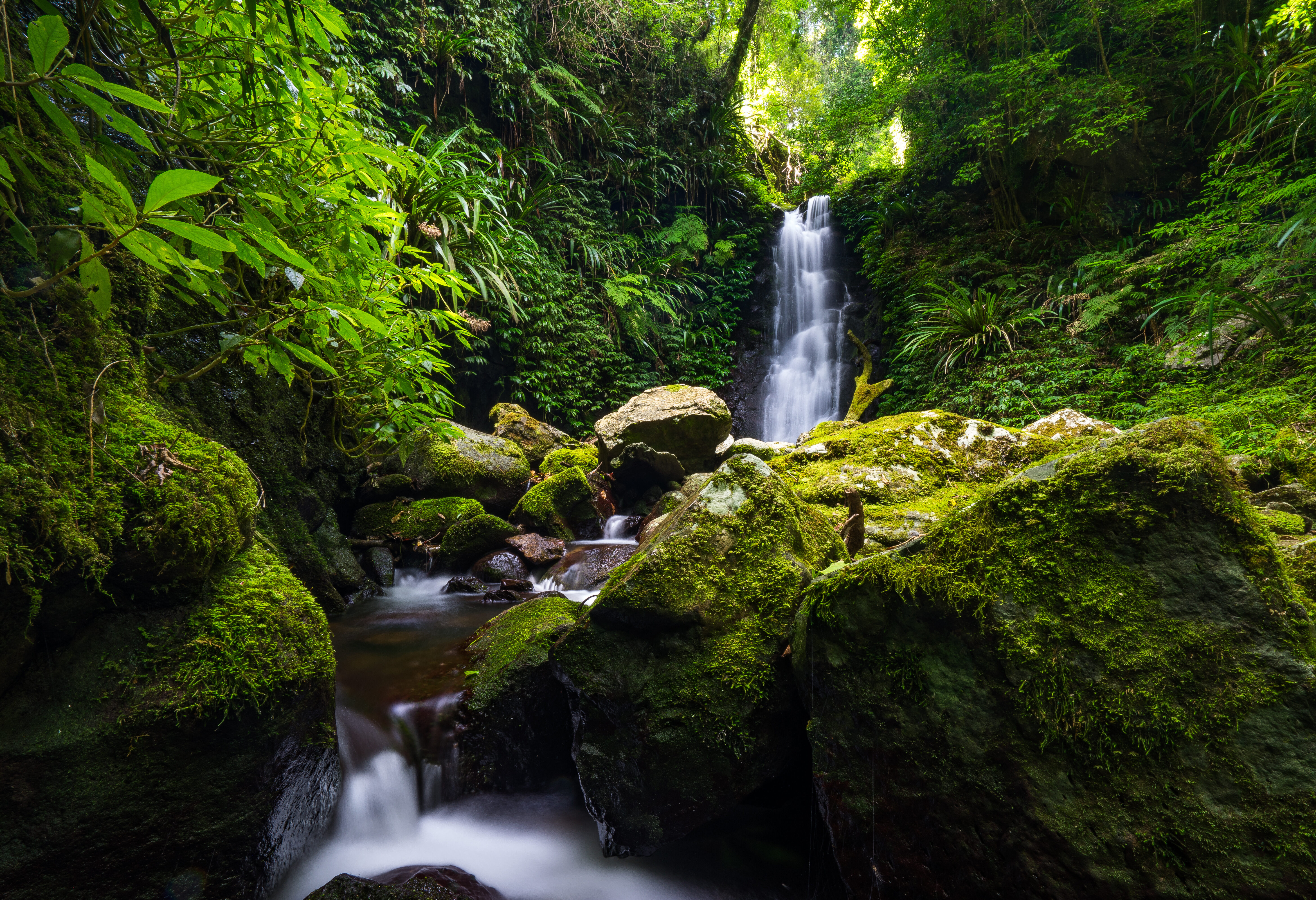 Waterval in het Lamington National Park in Australie