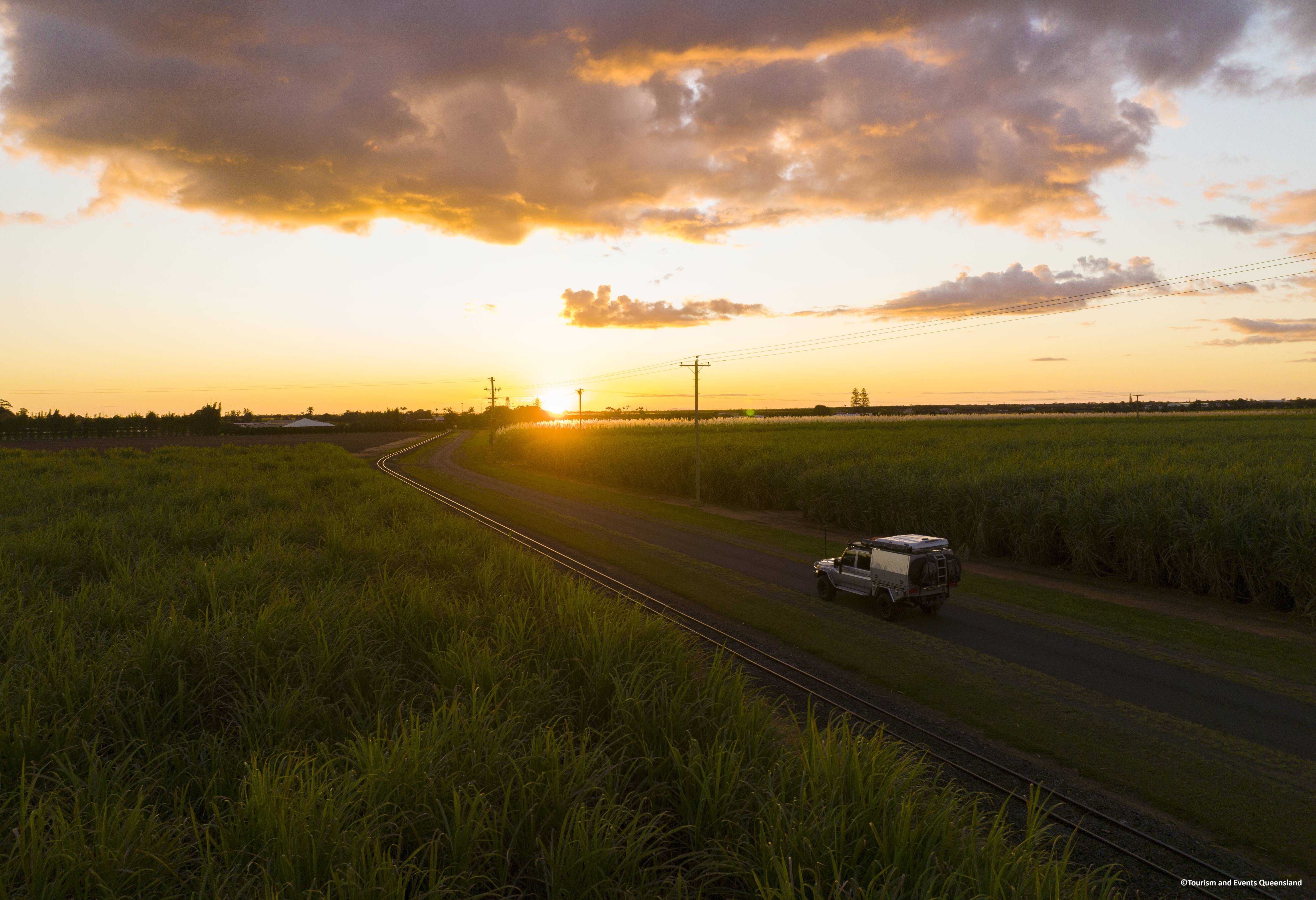 Rietsuikervelden nabij Bundaberg in Australie