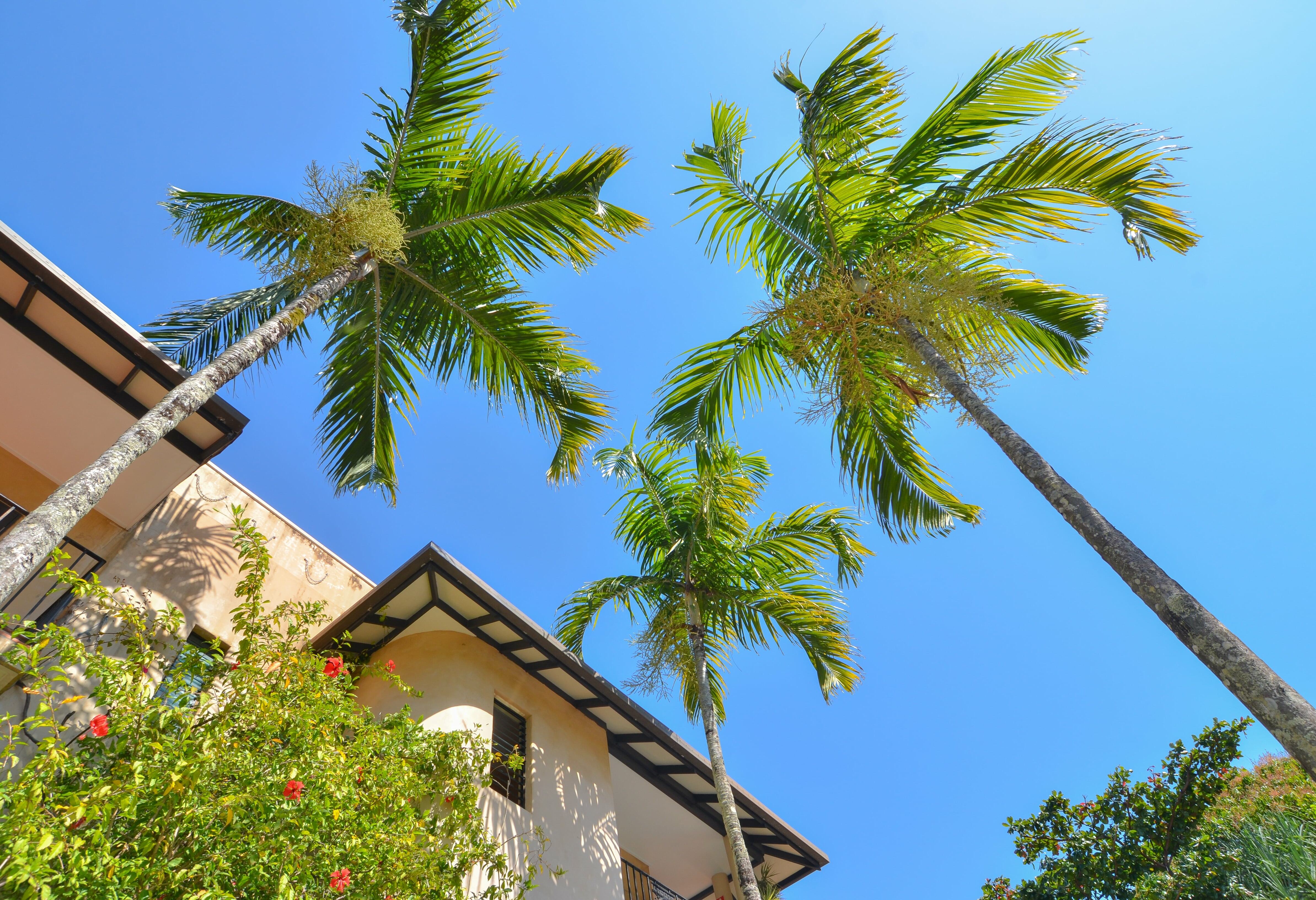 Relaxen in Port Douglas in Australie
