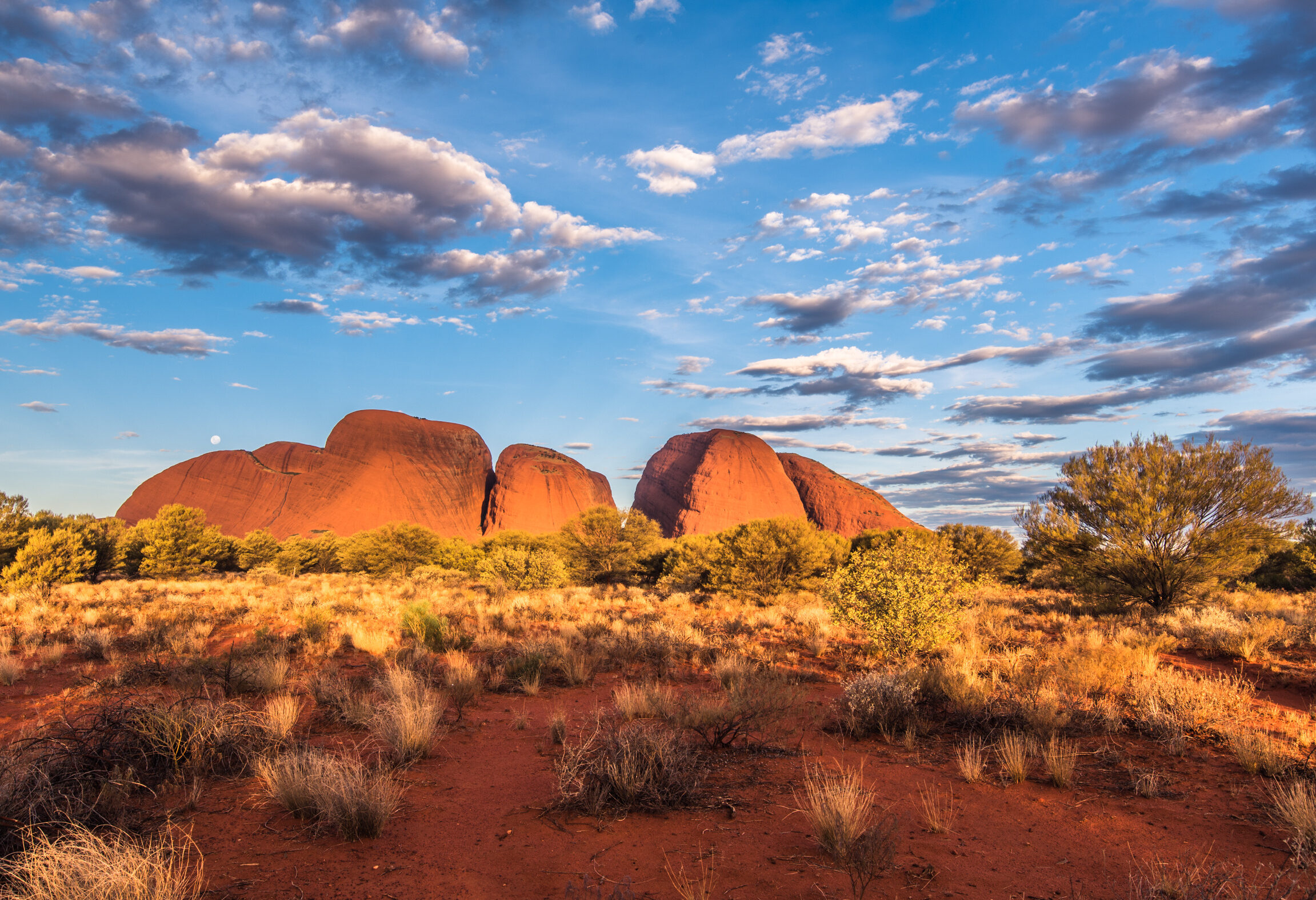 Australie Uluru Kata Tjuta National Park The Olgas