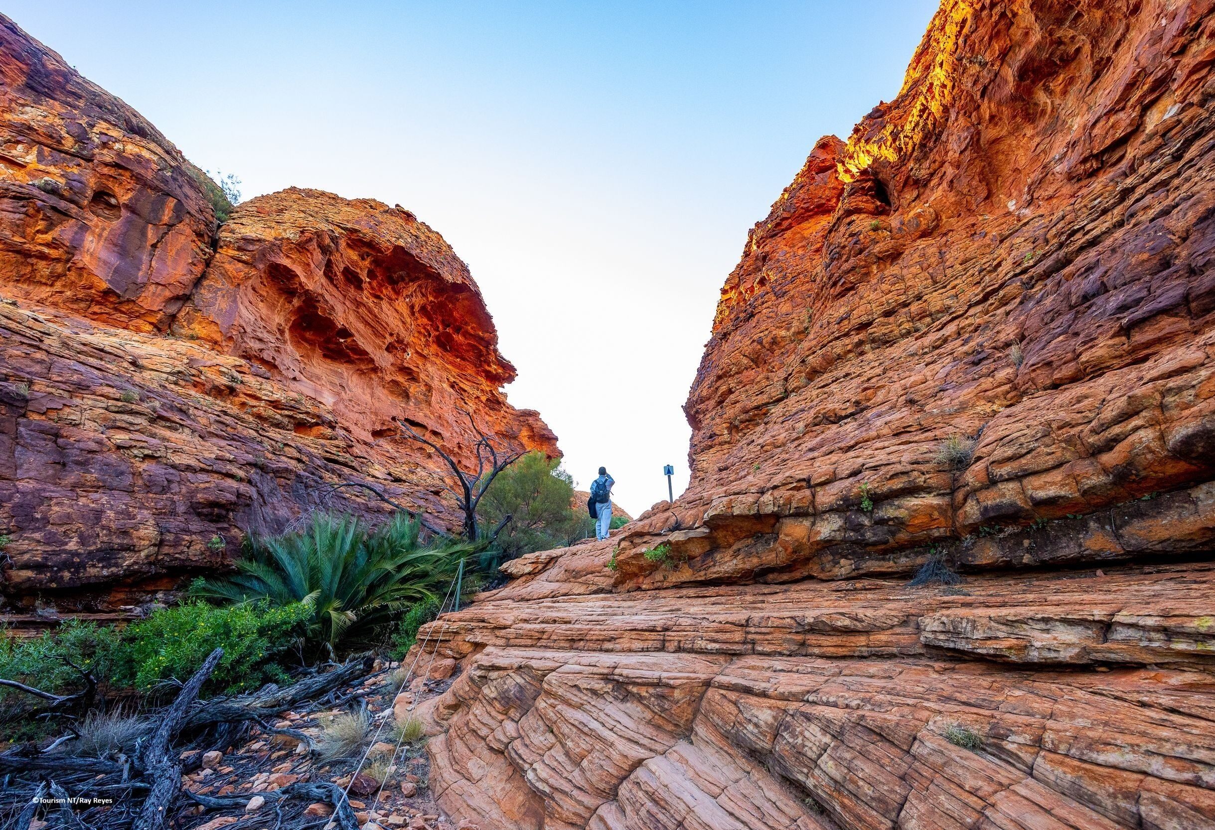 Australie TourismNT Kings Canyon