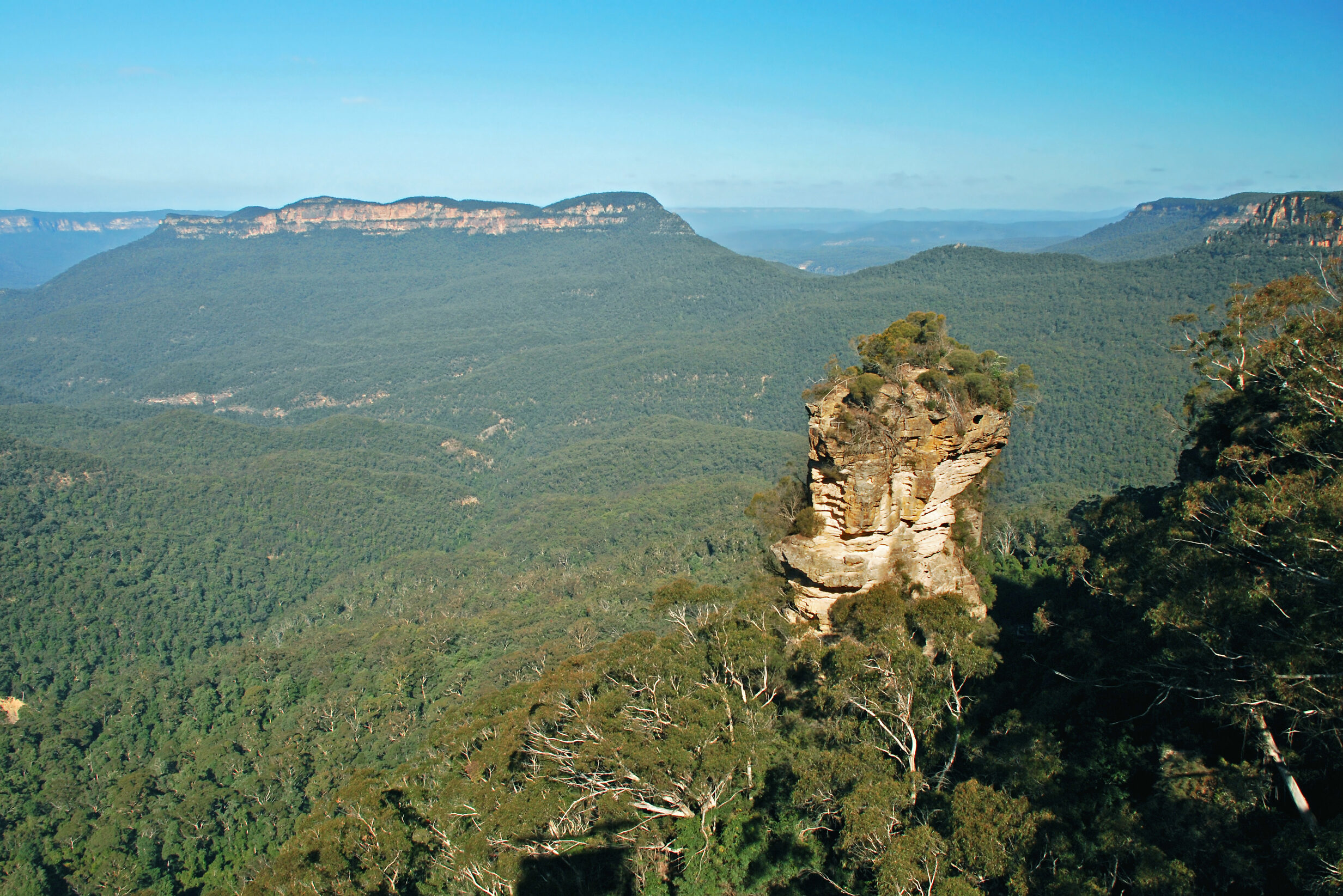 Uitzicht over de Blue Mountains in Australie