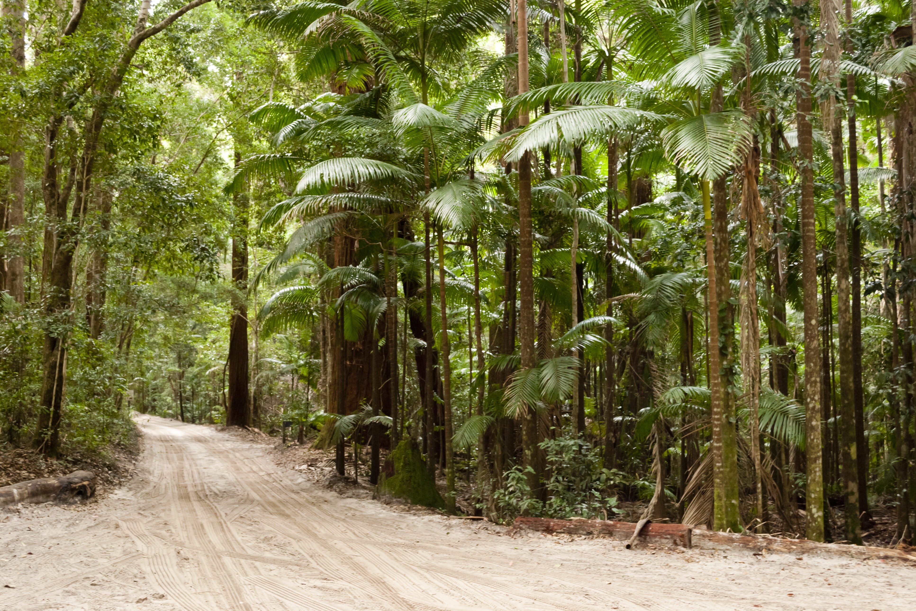Australie Kgari Fraser Island Zandwegen