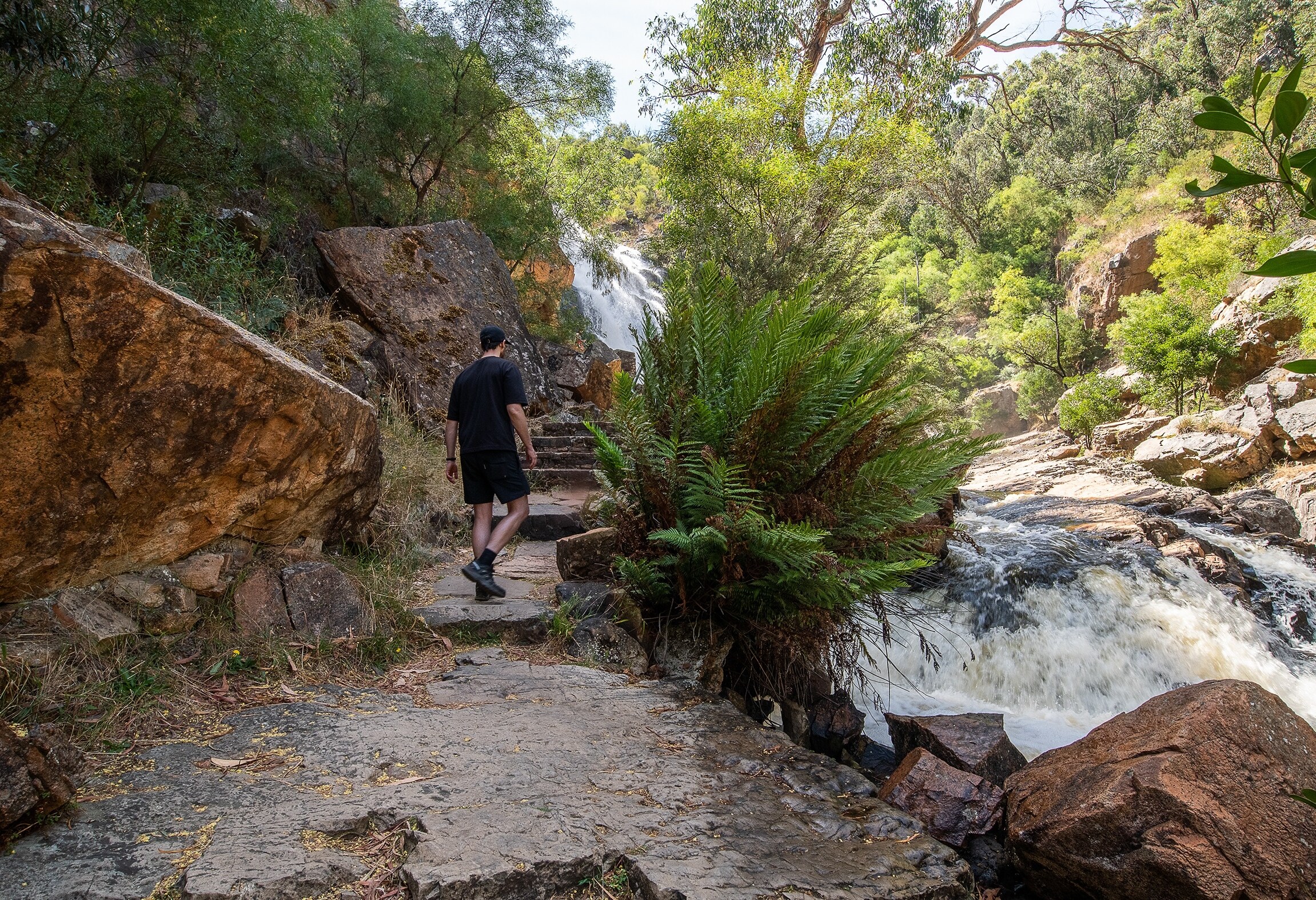 Wandeling naar MacKenzie Falls in Grampians NP in Australie