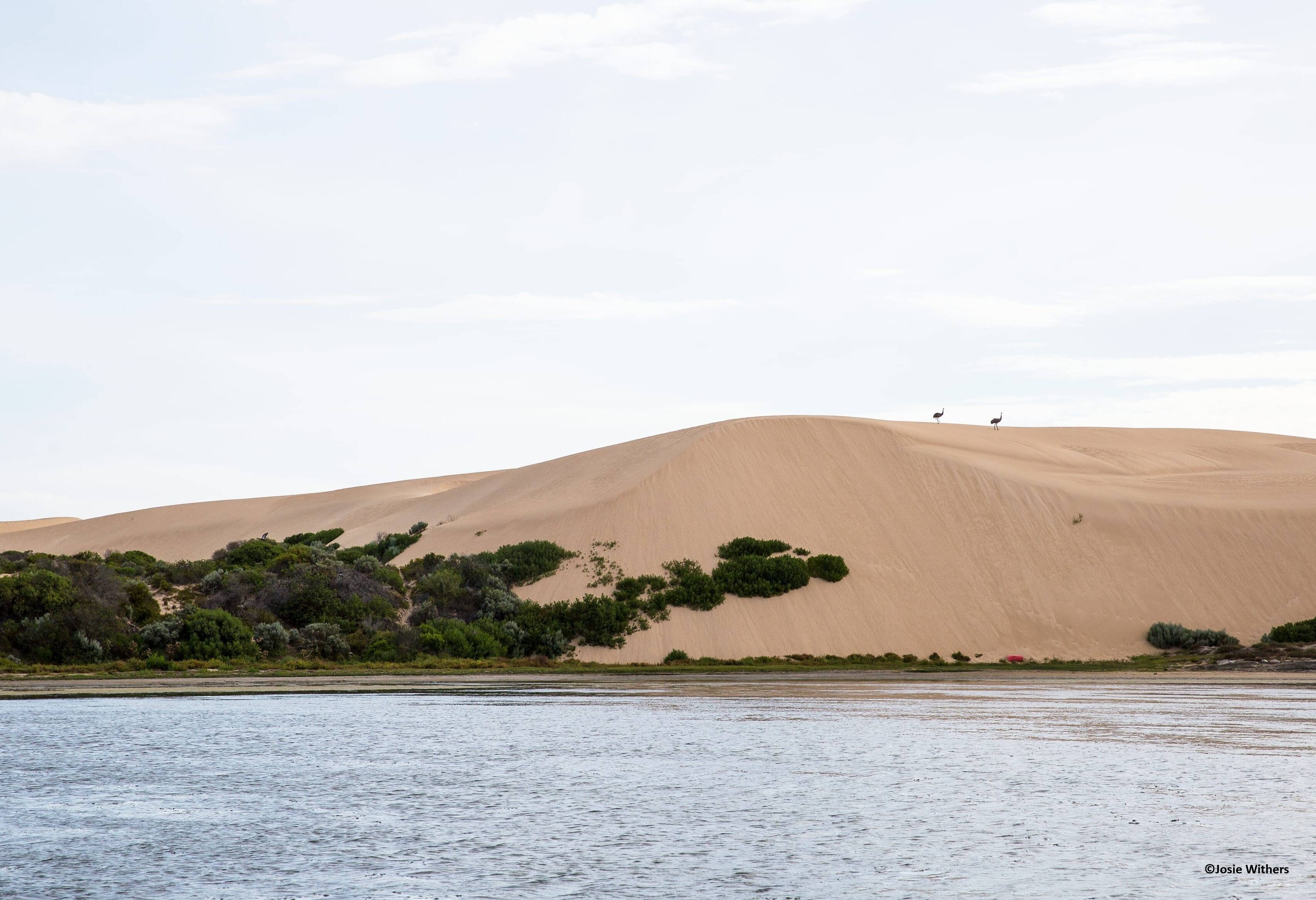 Coorong National Park in Zuid-Australie