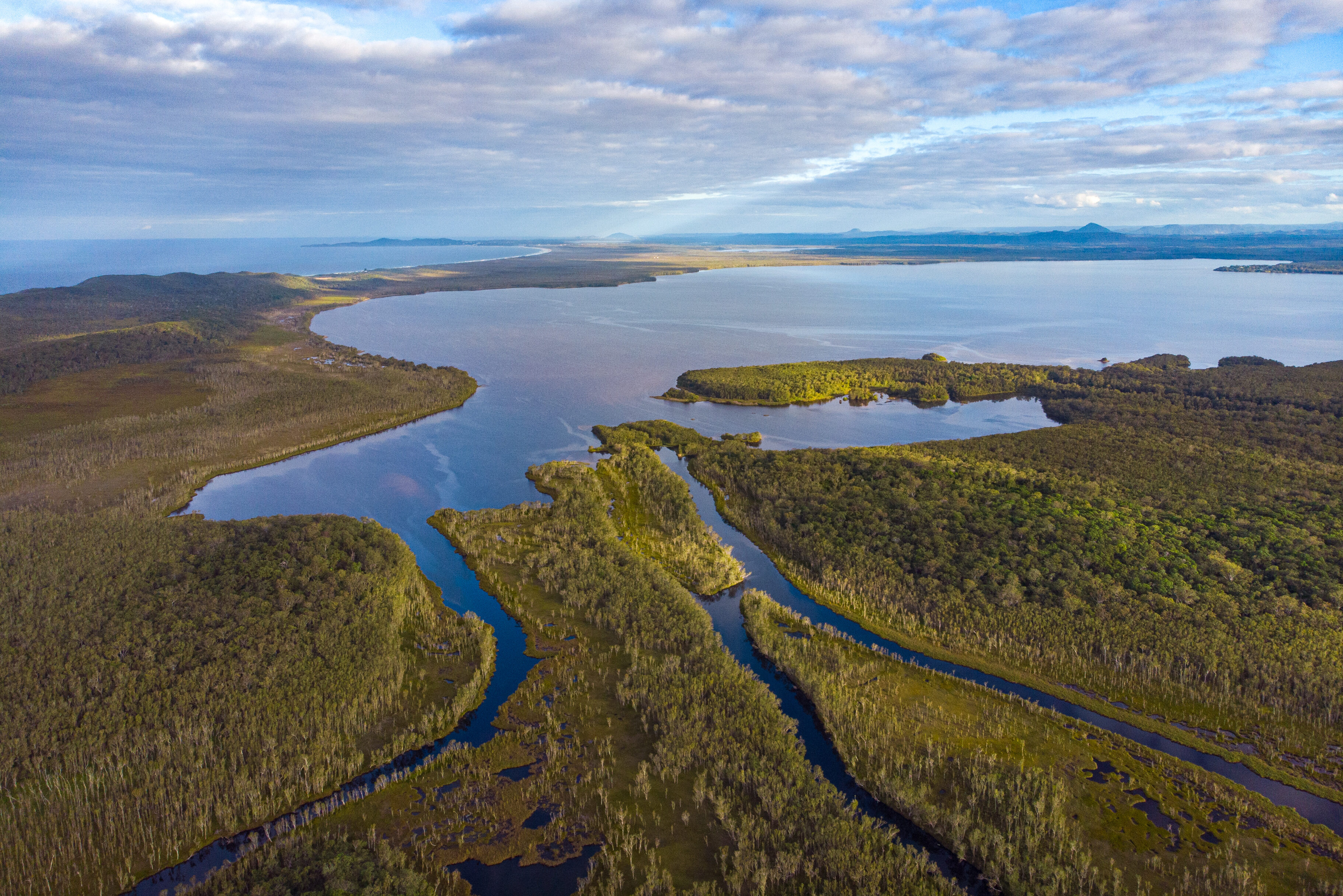 De Noosa Everglades bij Noosa in Australie