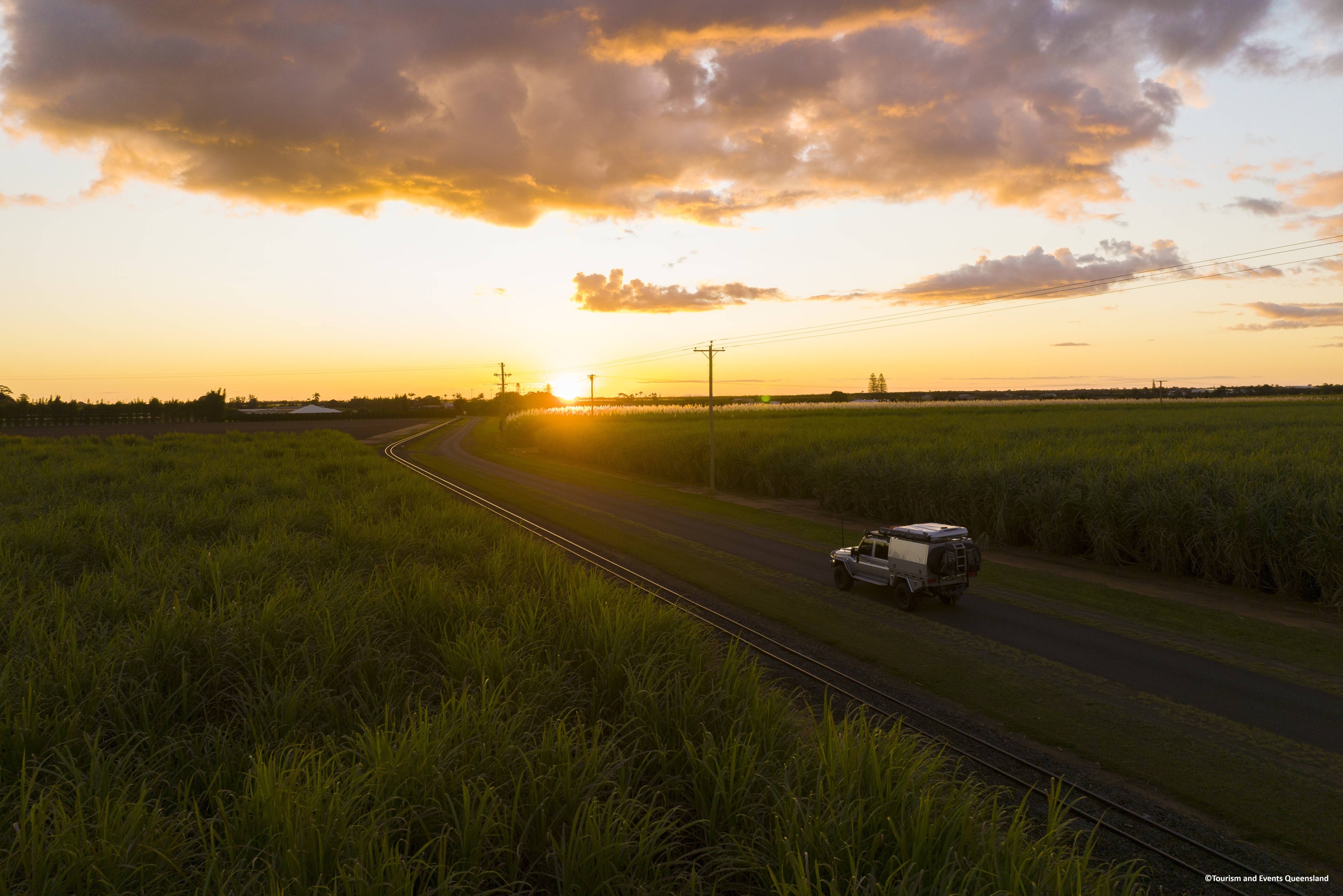 Rijden tussen de suikerrietvelden in de regio van Bundaberg in Australie