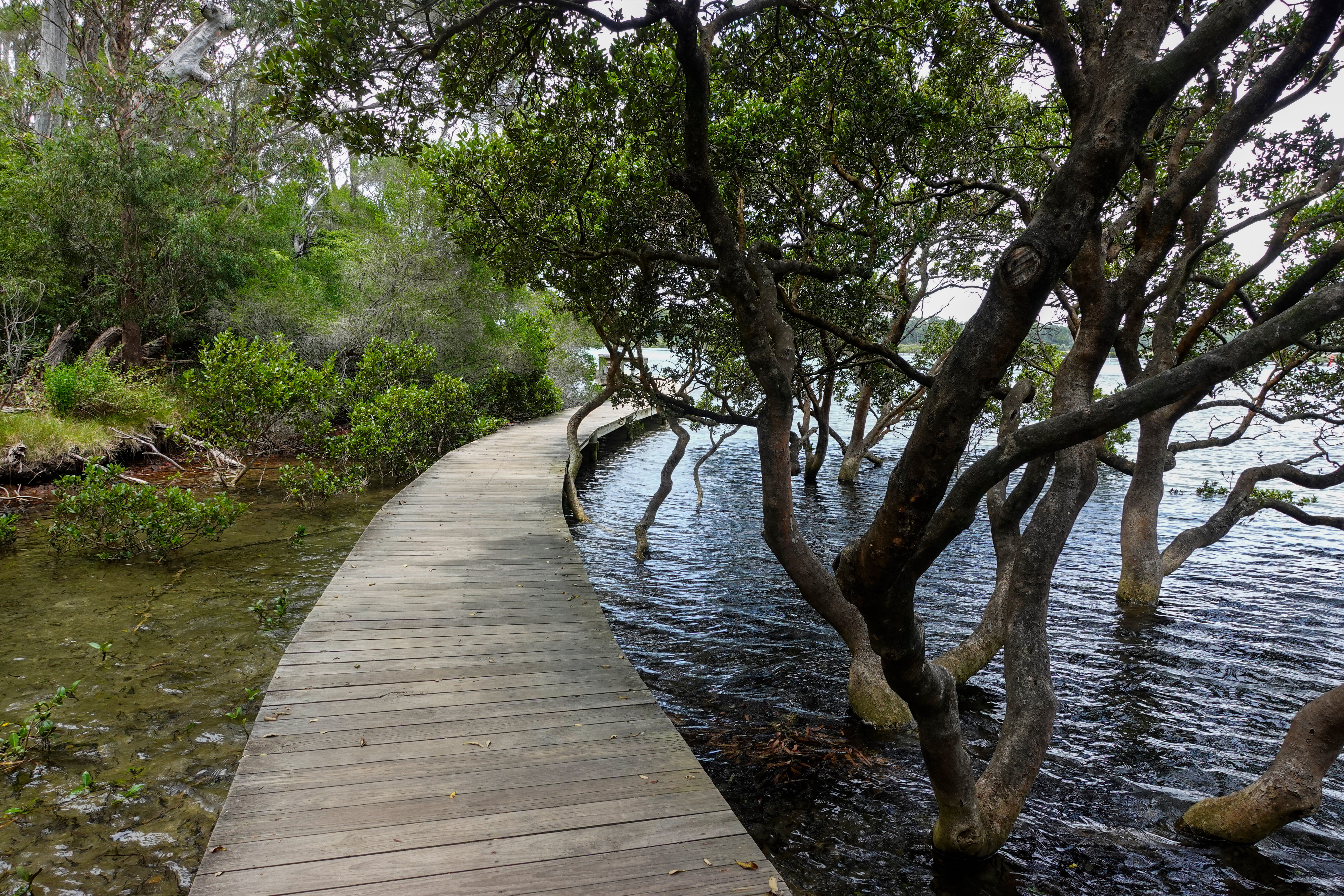 Wandelen langs Merimbula Lake in Australie