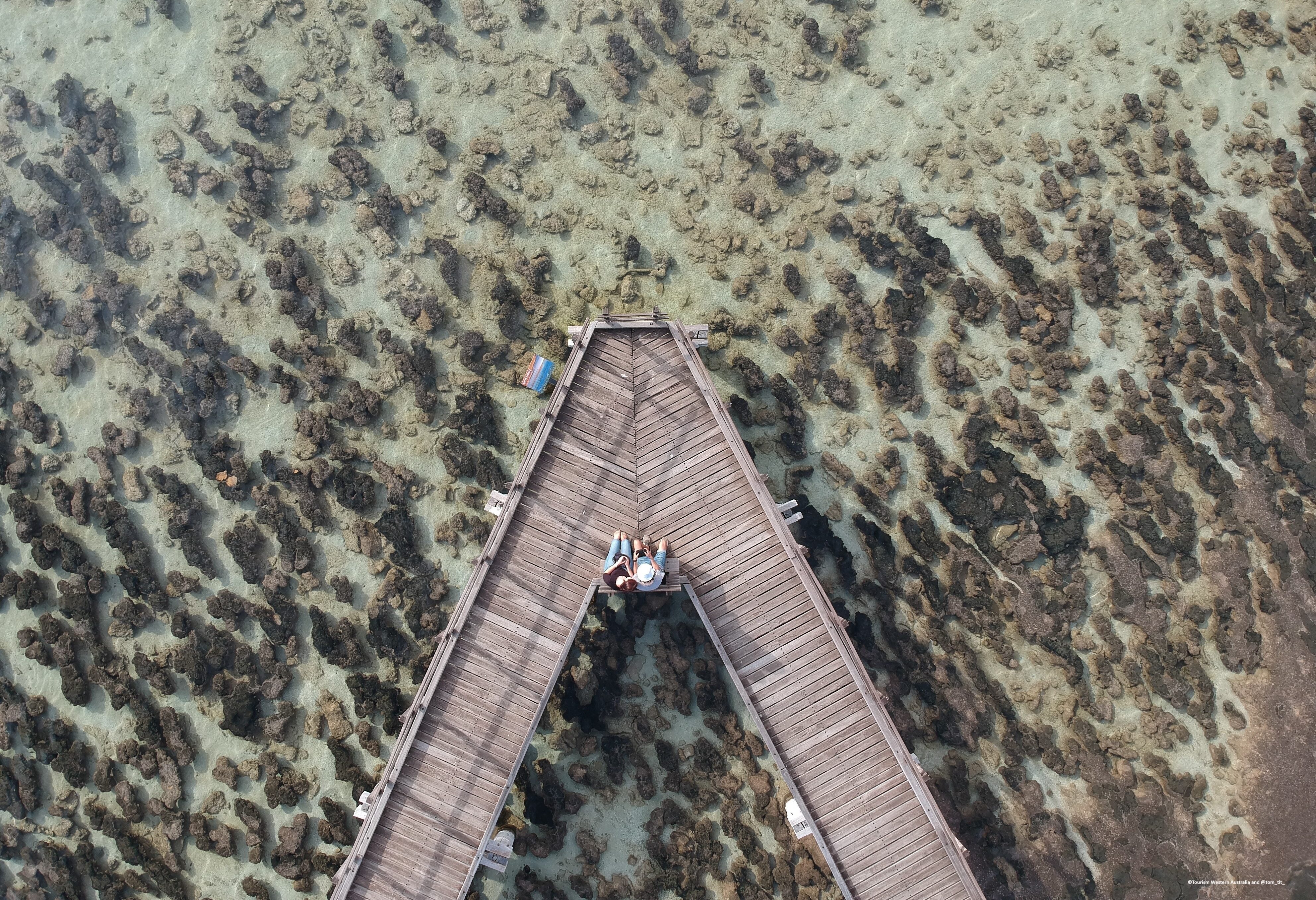 Stromatolieten aan de westkust van Australie