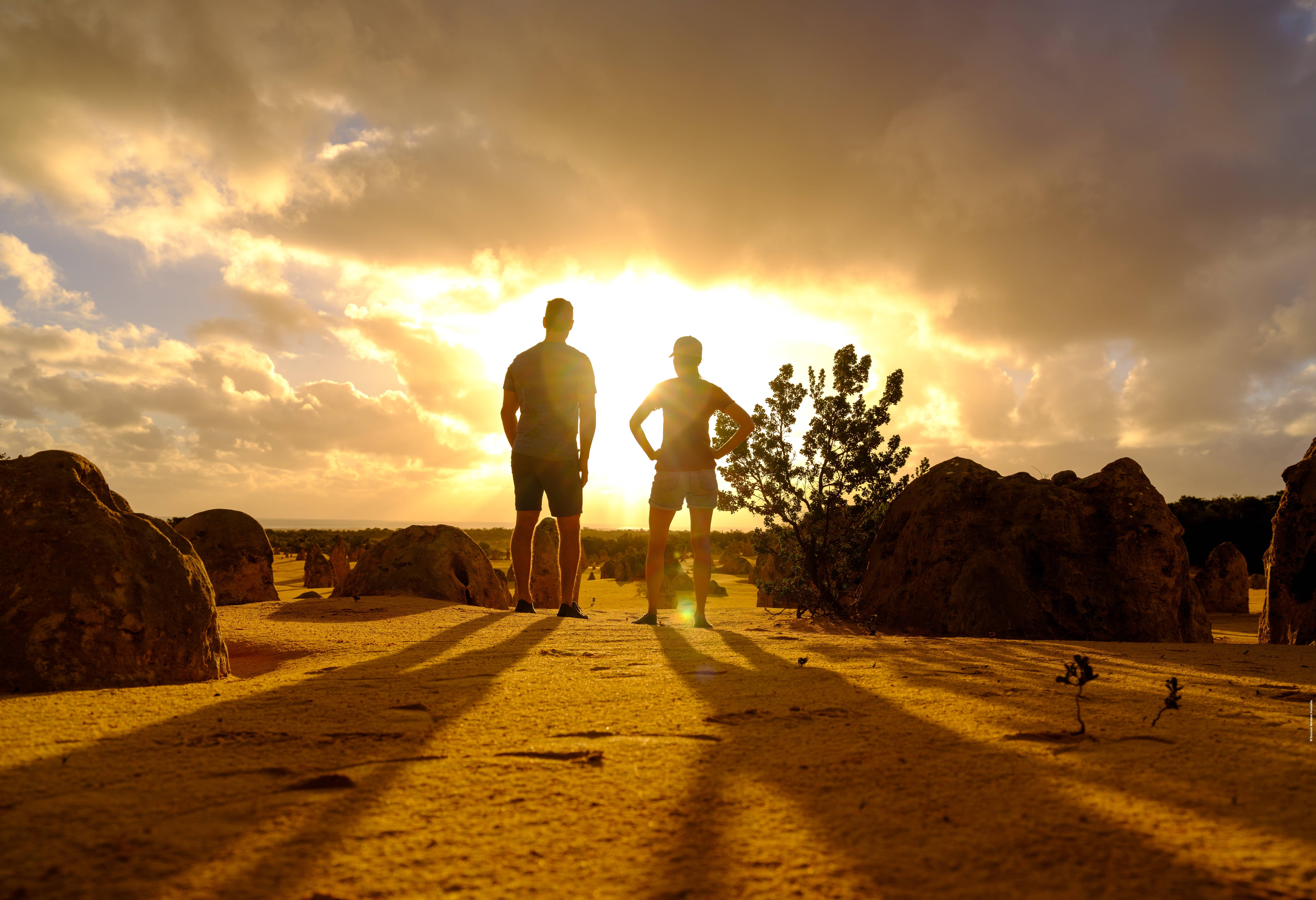 Het Pinnacles landschap bij zonsondergang in het Nambung National Park in West-Australie