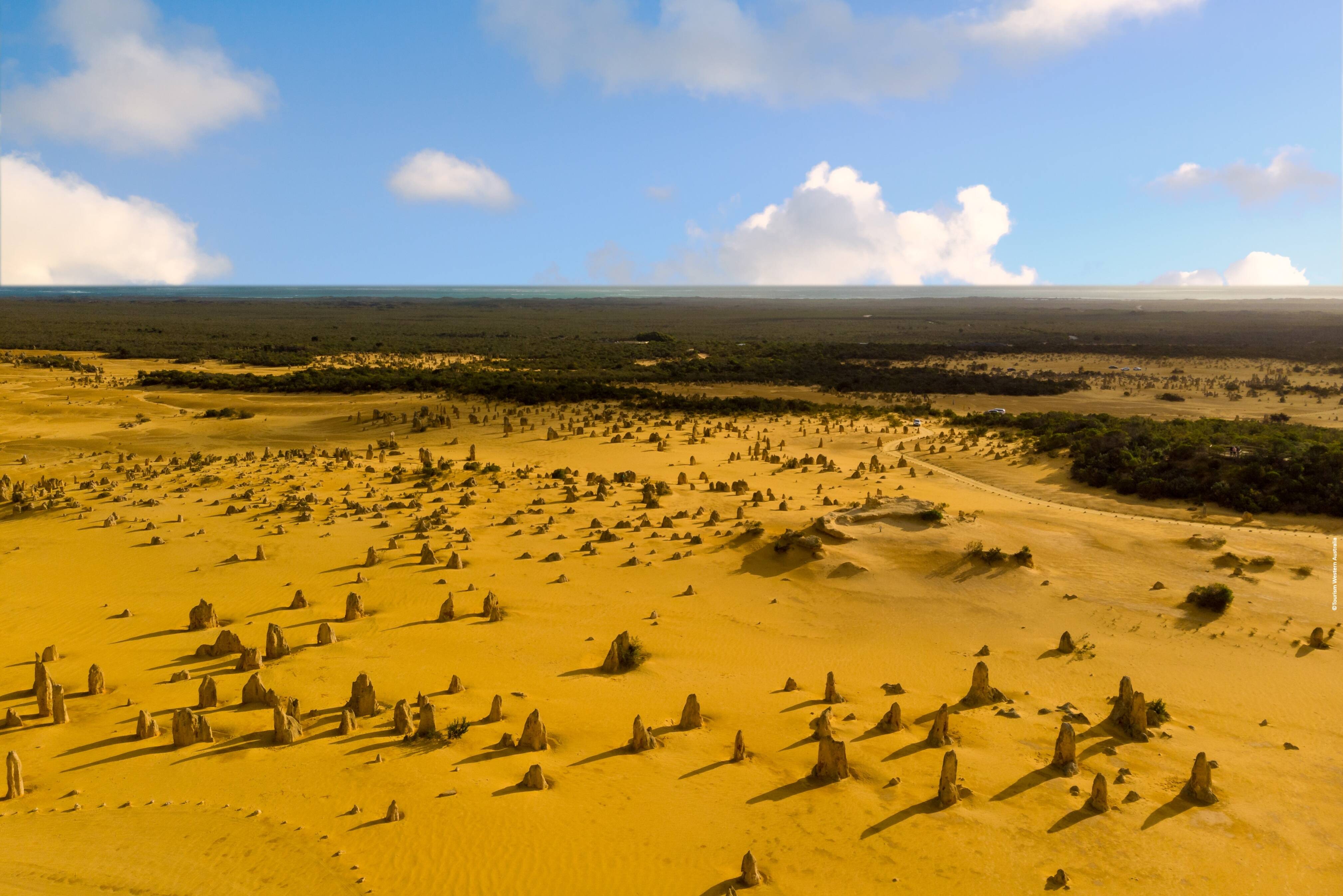 De Pinnacles in het Nambung National Park in West-Australie