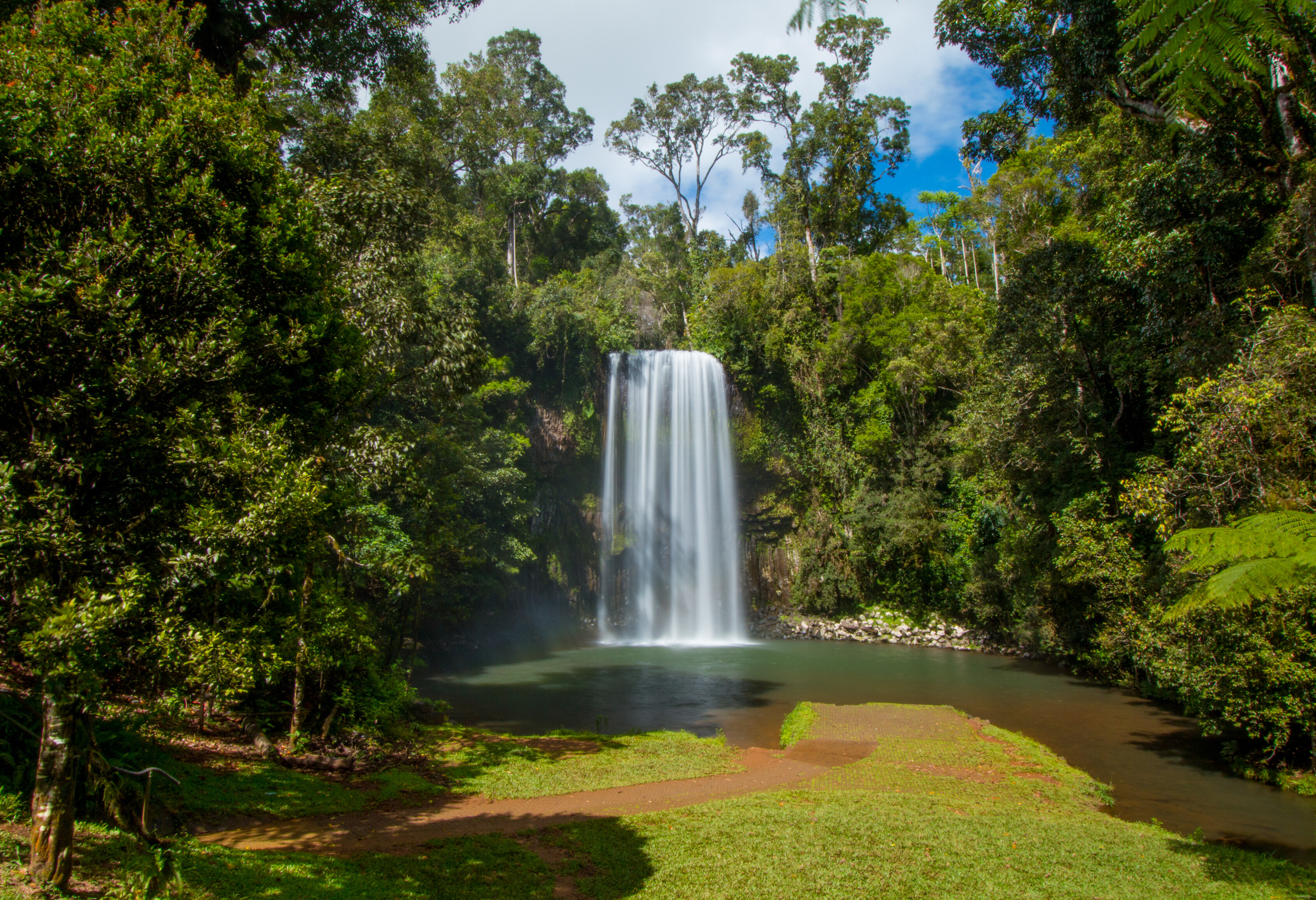 Millaa Millaa Falls in de Atherton Tablelands in Australie